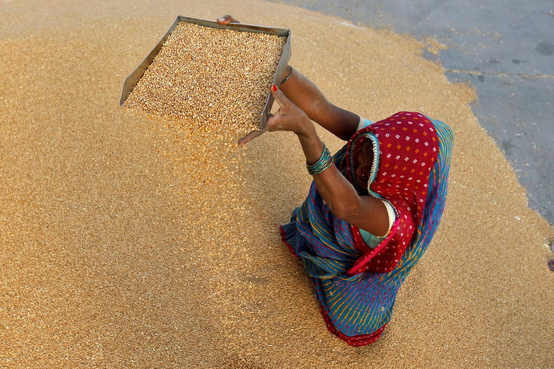 <p>A woman winnowed wheat crop at a wholesale grain market near Ahmedabad on May 7.</p>
