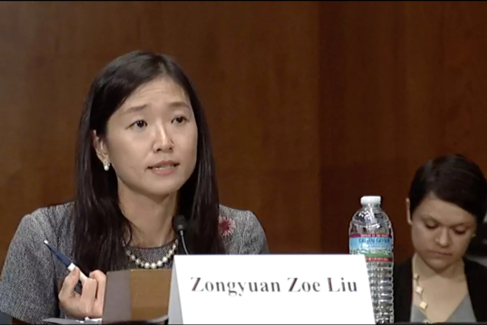 Zoe Liu 8.21 Testimony