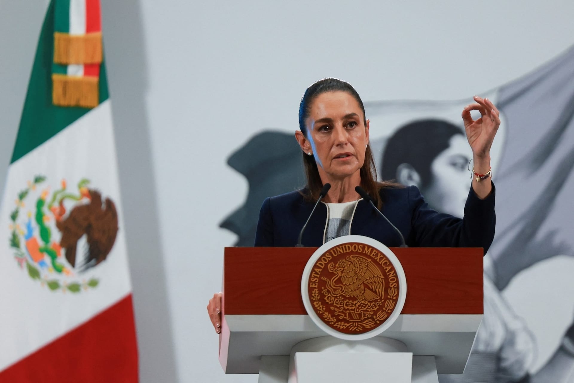 <p>Mexican President Claudia Sheinbaum speaks at a press conference in Mexico City.</p>
