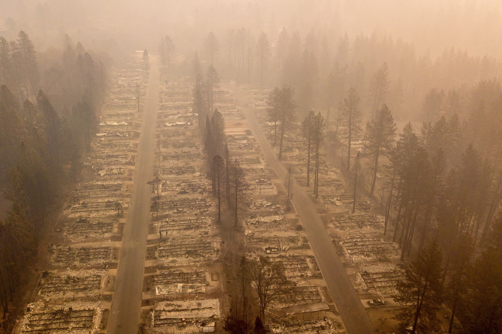 <p>A burned neighborhood in Paradise, California, on November 15, 2018.</p>

