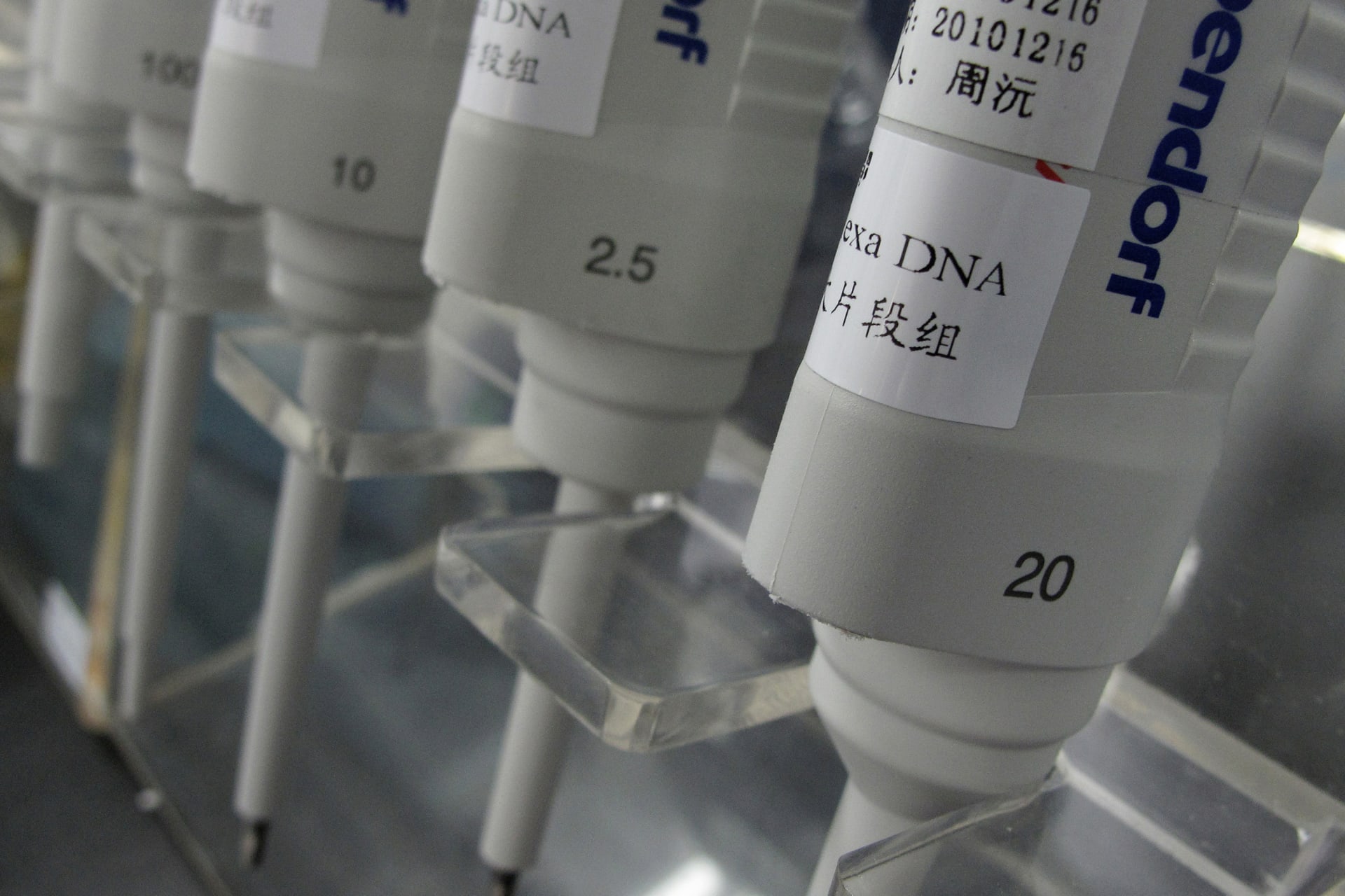 <p>Equipment used inside a “DNA Lab” are seen at the Beijing Genomics Institute in Shenzhen, southern China, on March 3, 2010.</p>
