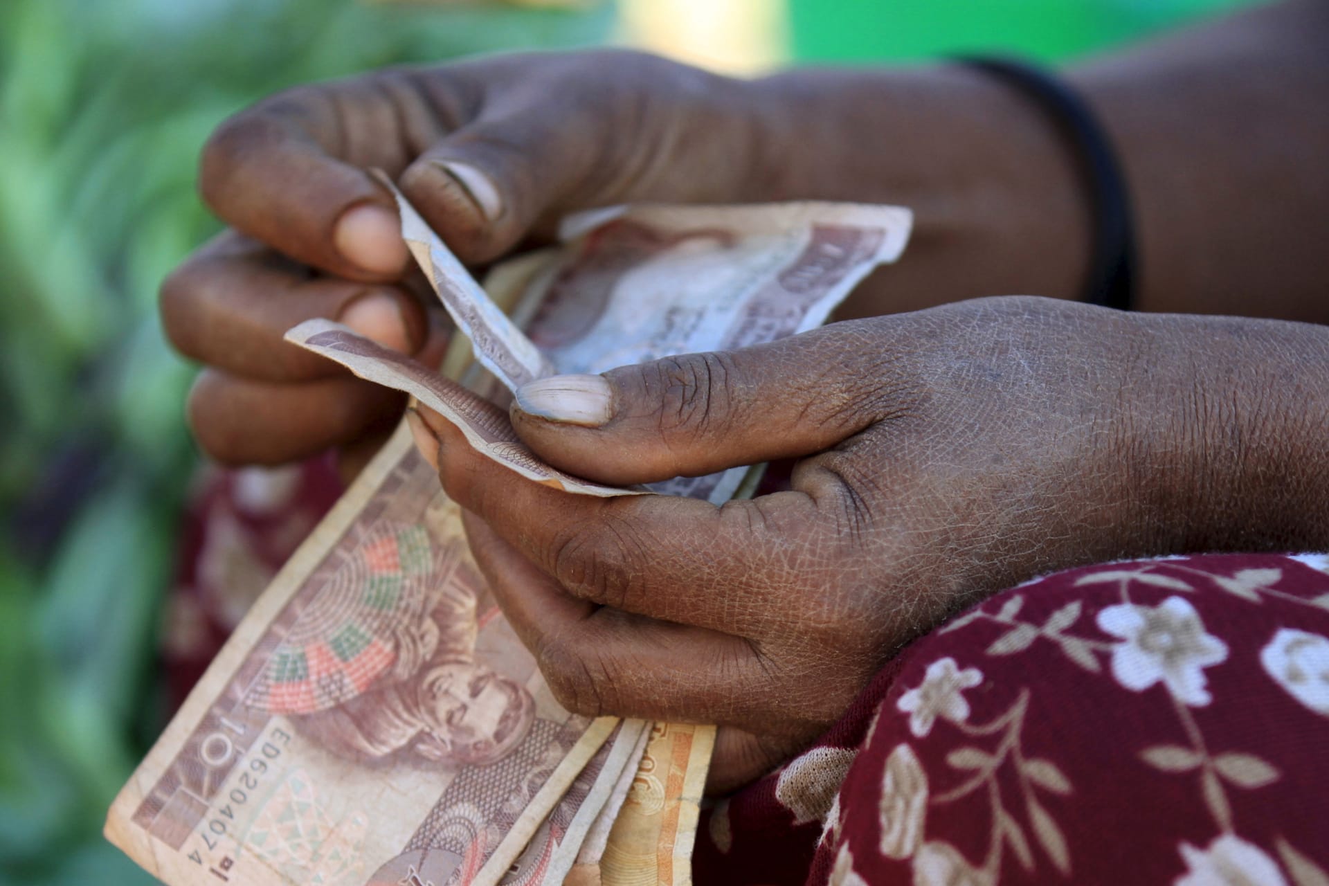 <p>A woman counts Ethiopian birr notes, after selling a cabbage at the Mercato market in Addis Ababa on November 14, 2015.</p>
