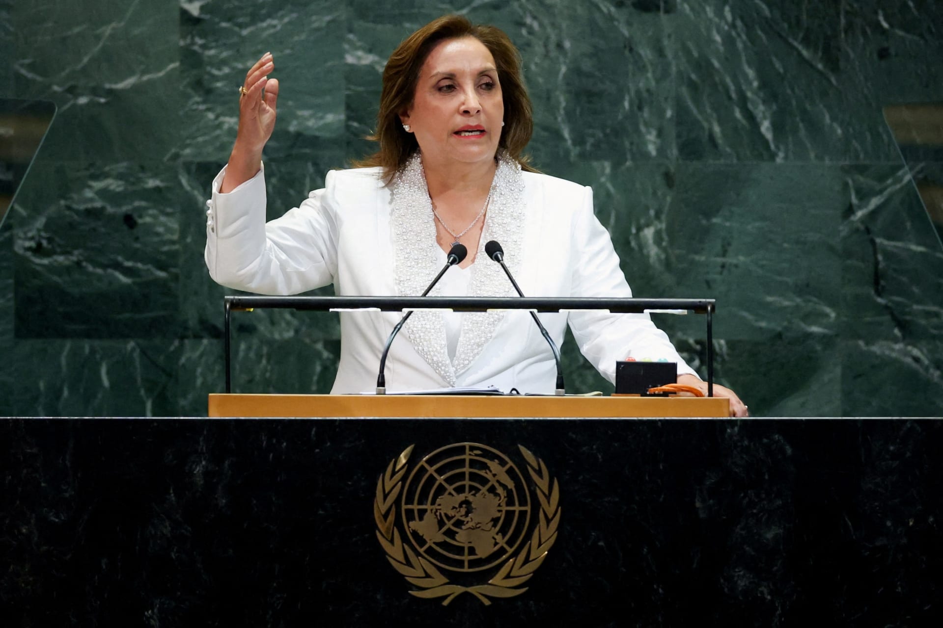 Photo of President Dina Boluarte