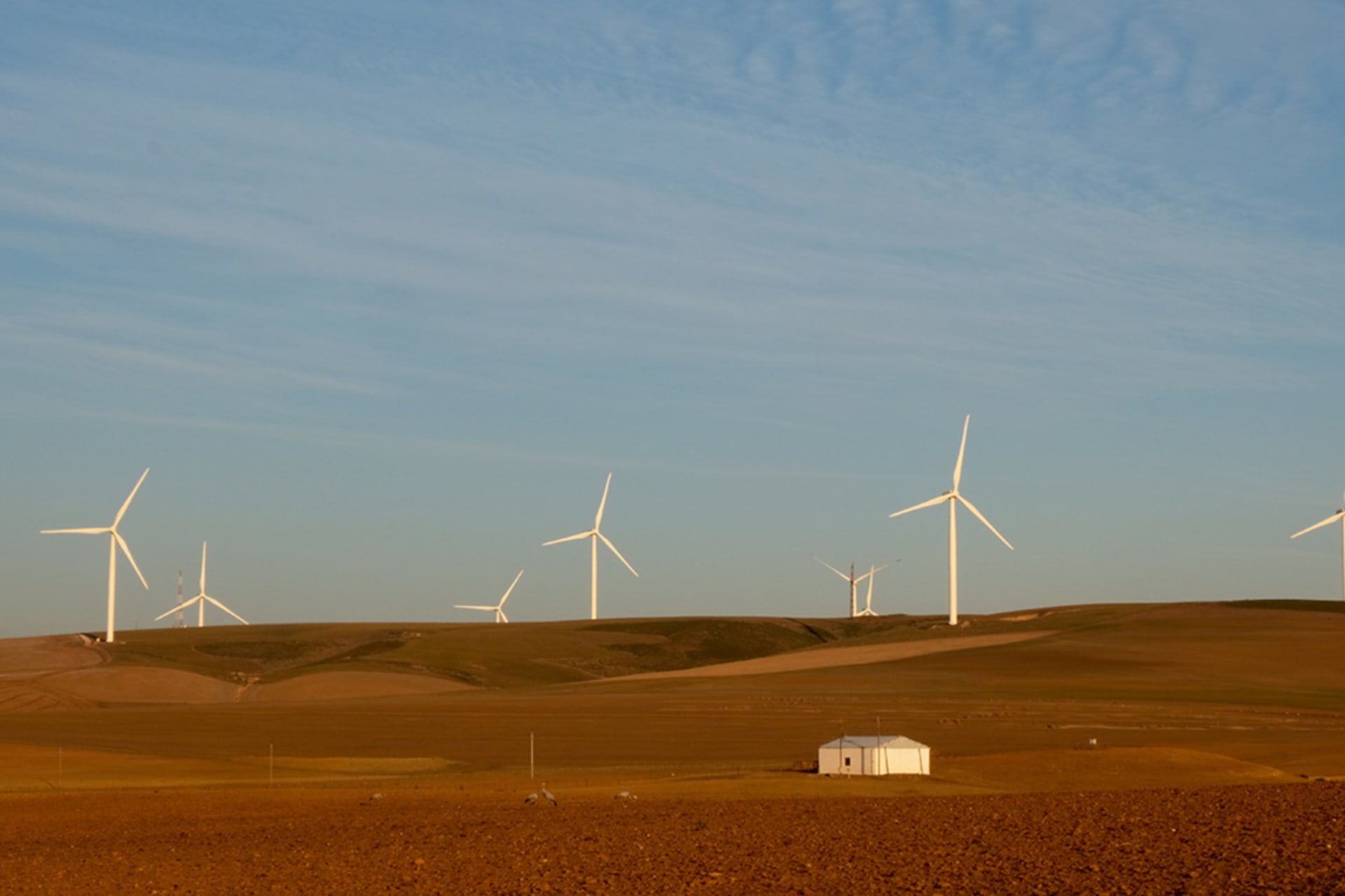 <p>Wind turbines produce renewable energy outside Caledon, South Africa, May 20, 2020.</p>
