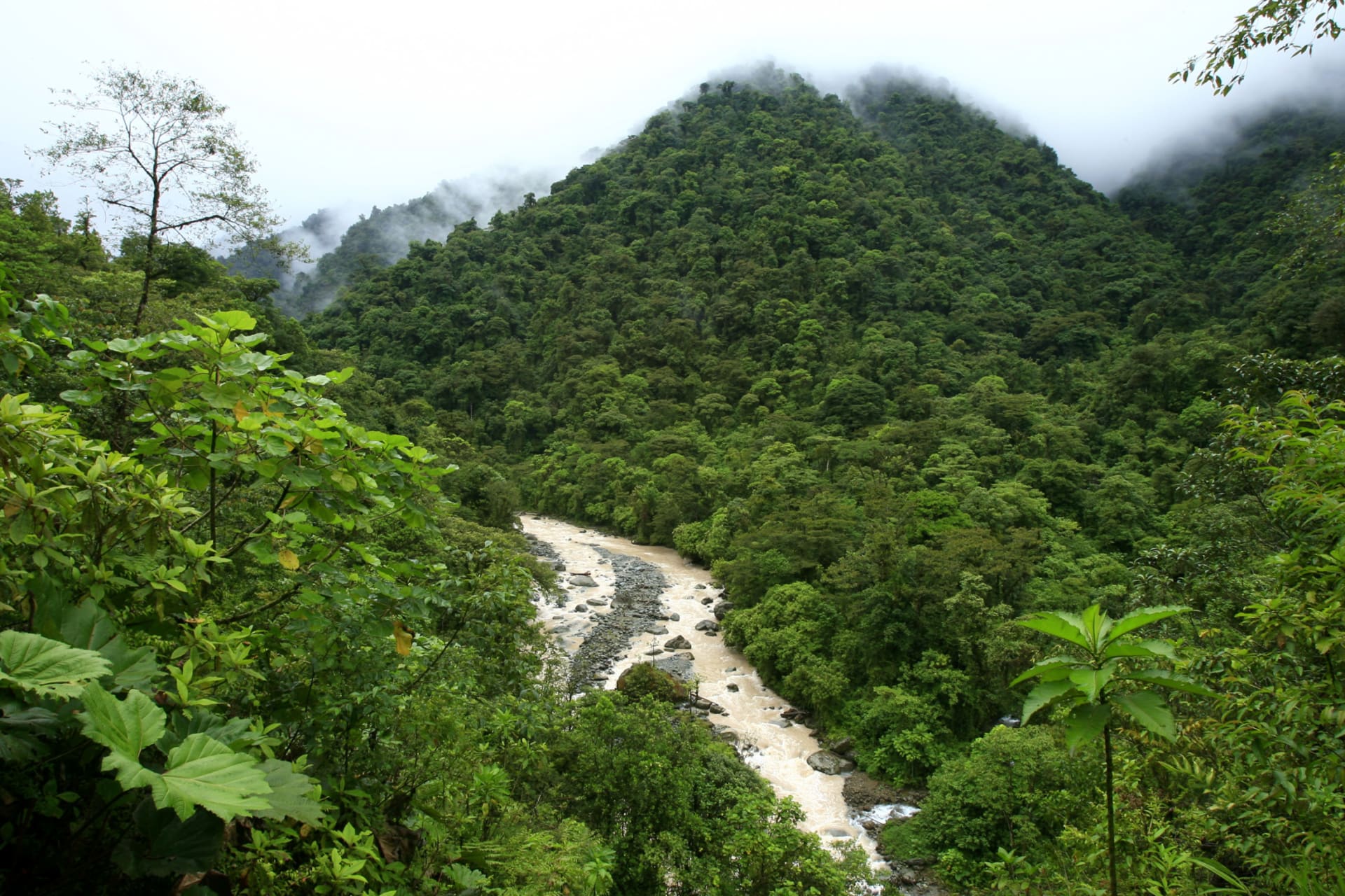 <p>General view of the National Park Tapamti in Orosi, 80 miles (128km) of San Jose May 25, 2007.</p>
