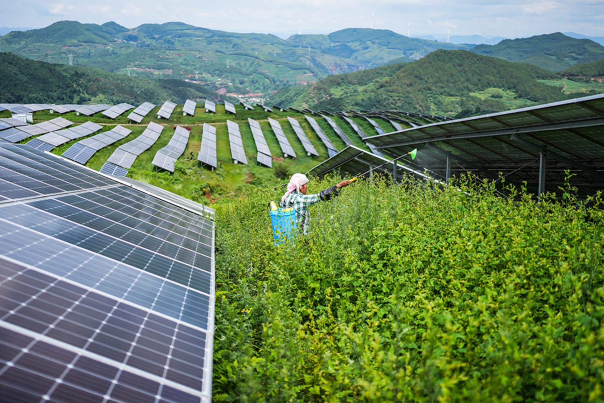 <p>A farmer works amid photovoltaic panels at a solar power station in the Yi-Hui-Miao Autonomous County of Weining, southwest China’s Guizhou Province, July 3, 2025.</p>
