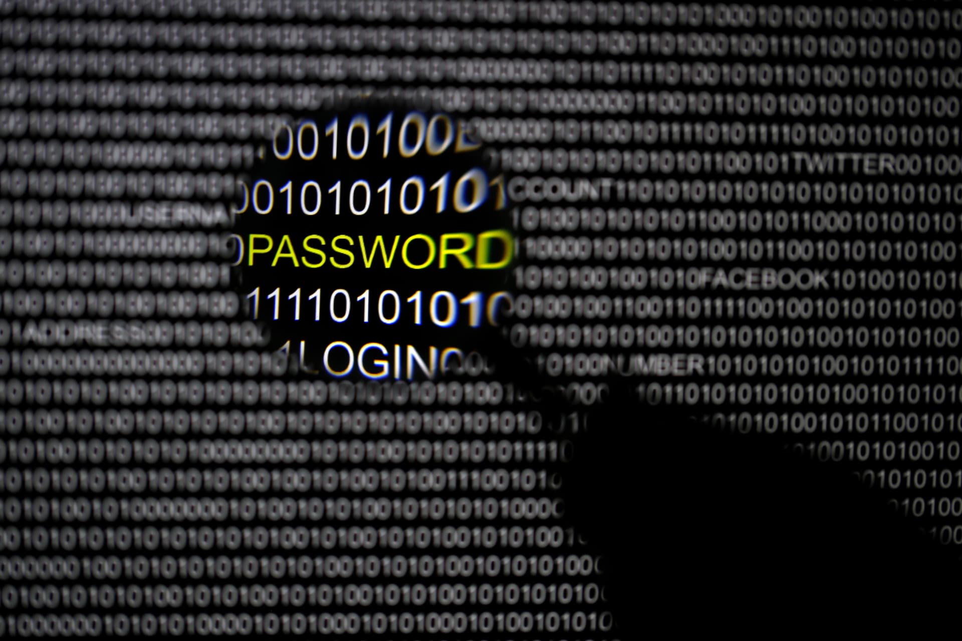 <p>A magnifying glass is held in front of a computer screen in this picture illustration taken in Berlin on May 21, 2013.</p>
