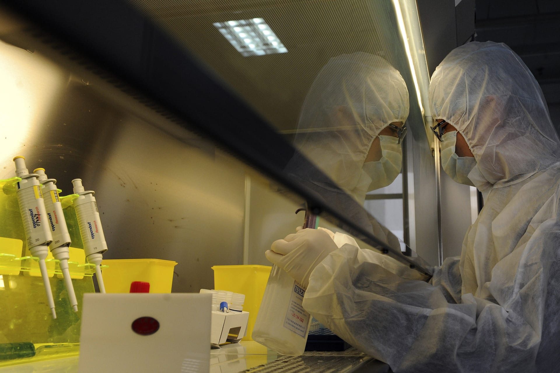 <p>A technician carries out a test on a suspected infected sample using the H7N9 bird flu virus test reagents at the centre for diseases control and prevention in Hefei, Anhui province, on April 5, 2013.</p>