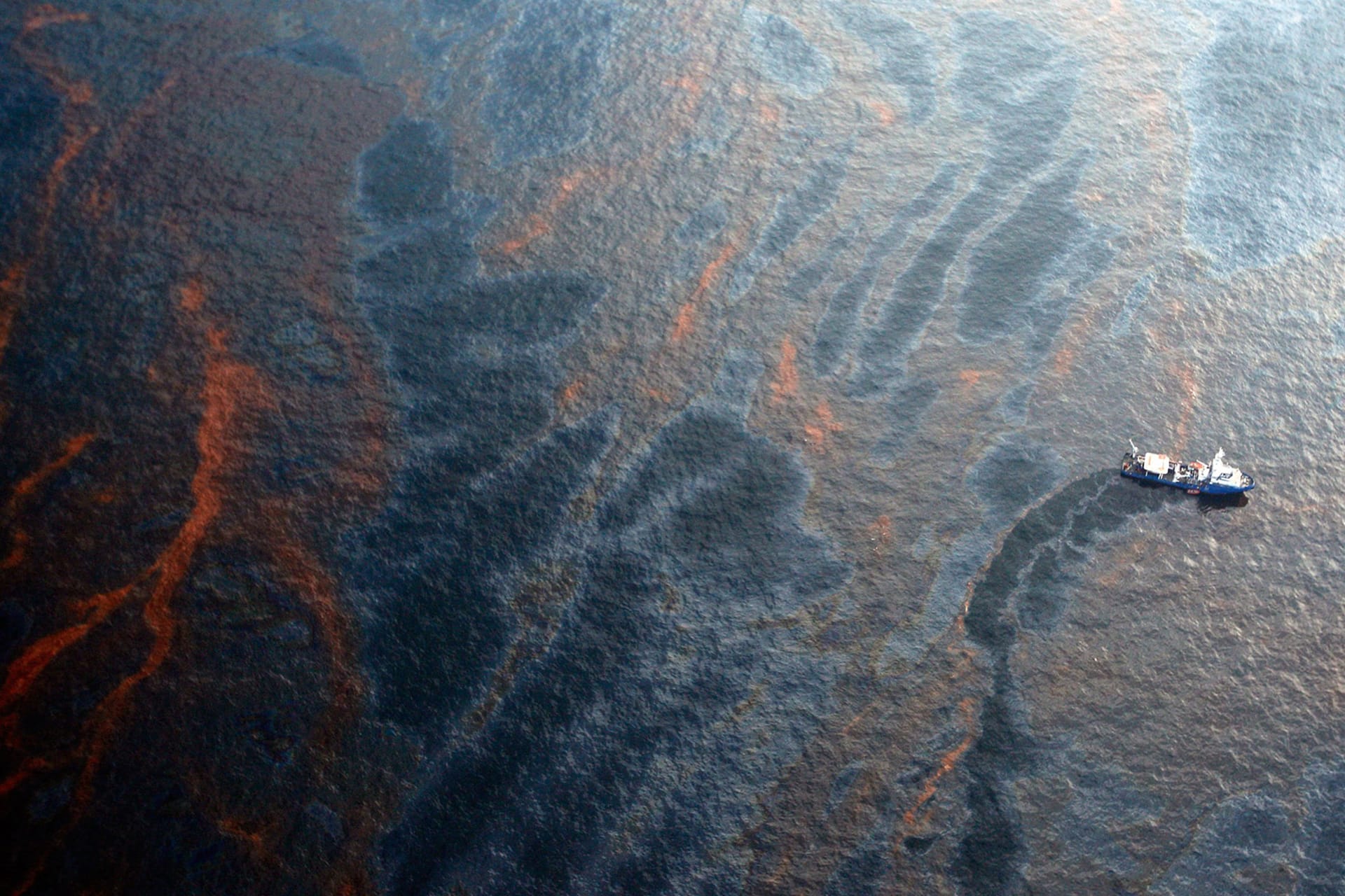 Timeline: Ecological Disasters cover image