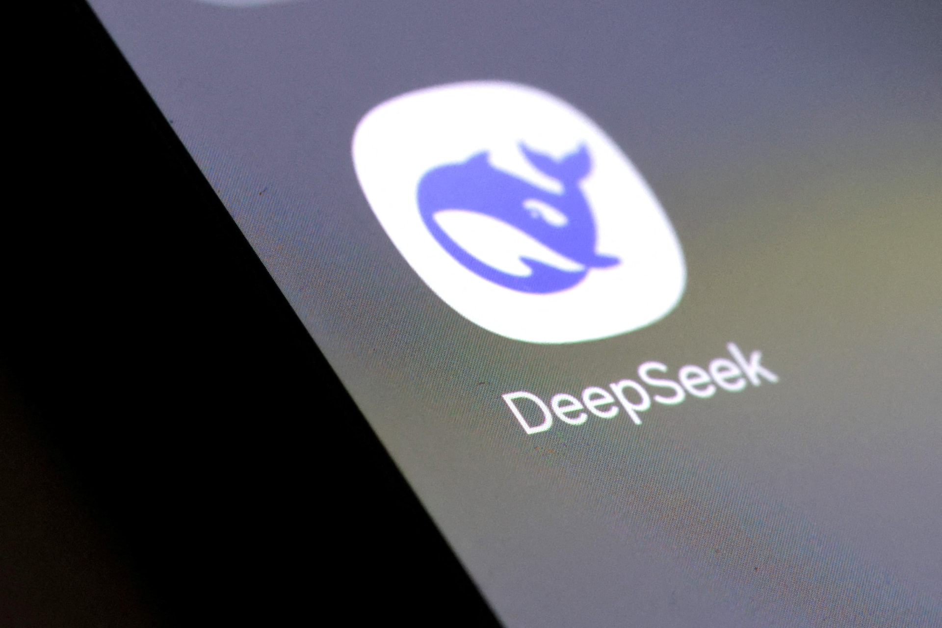 <p>Deepseek app icon is seen in this illustration taken, January 27, 2025. </p>