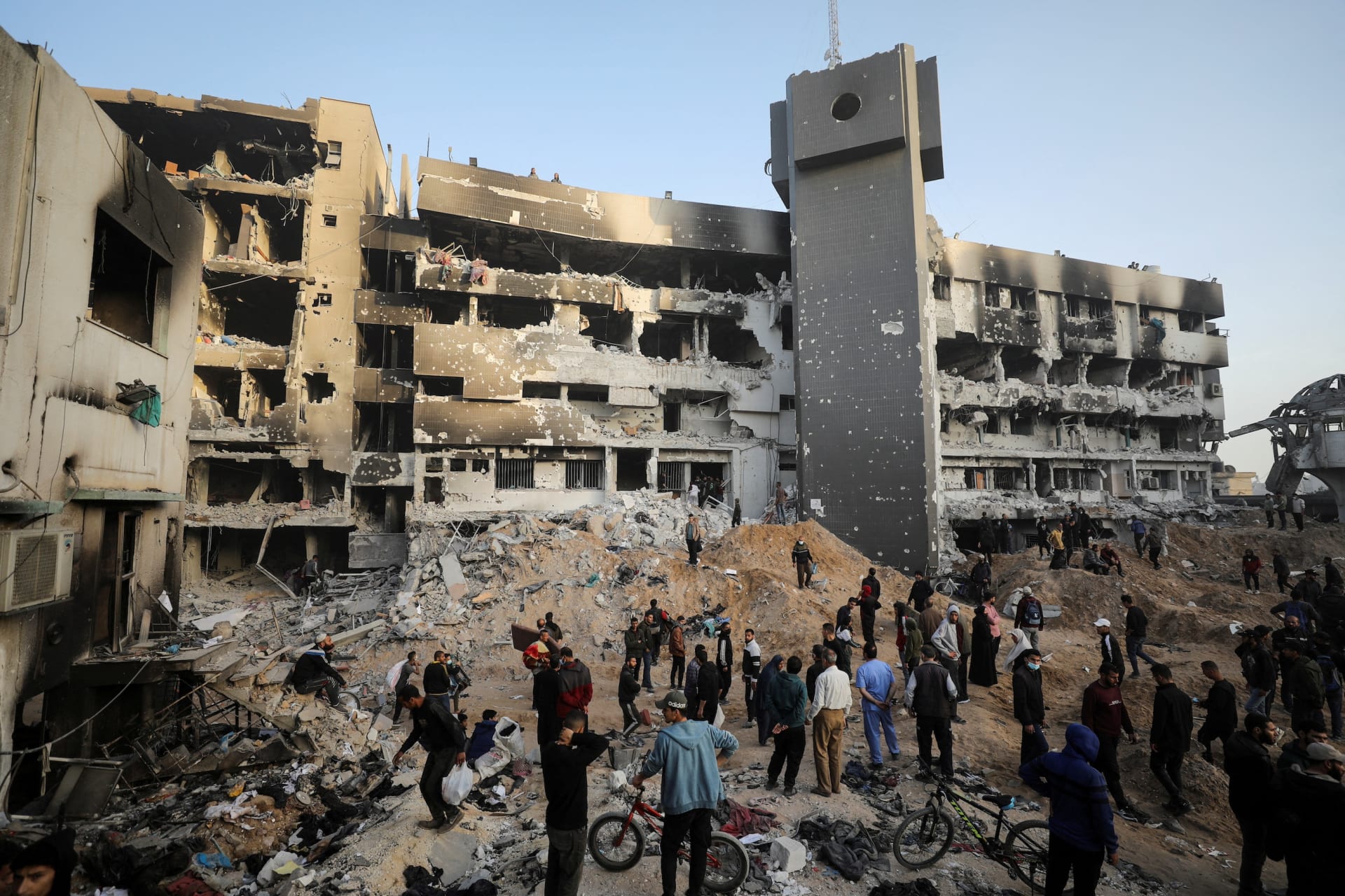 The War in Gaza, With Steven A. Cook pic