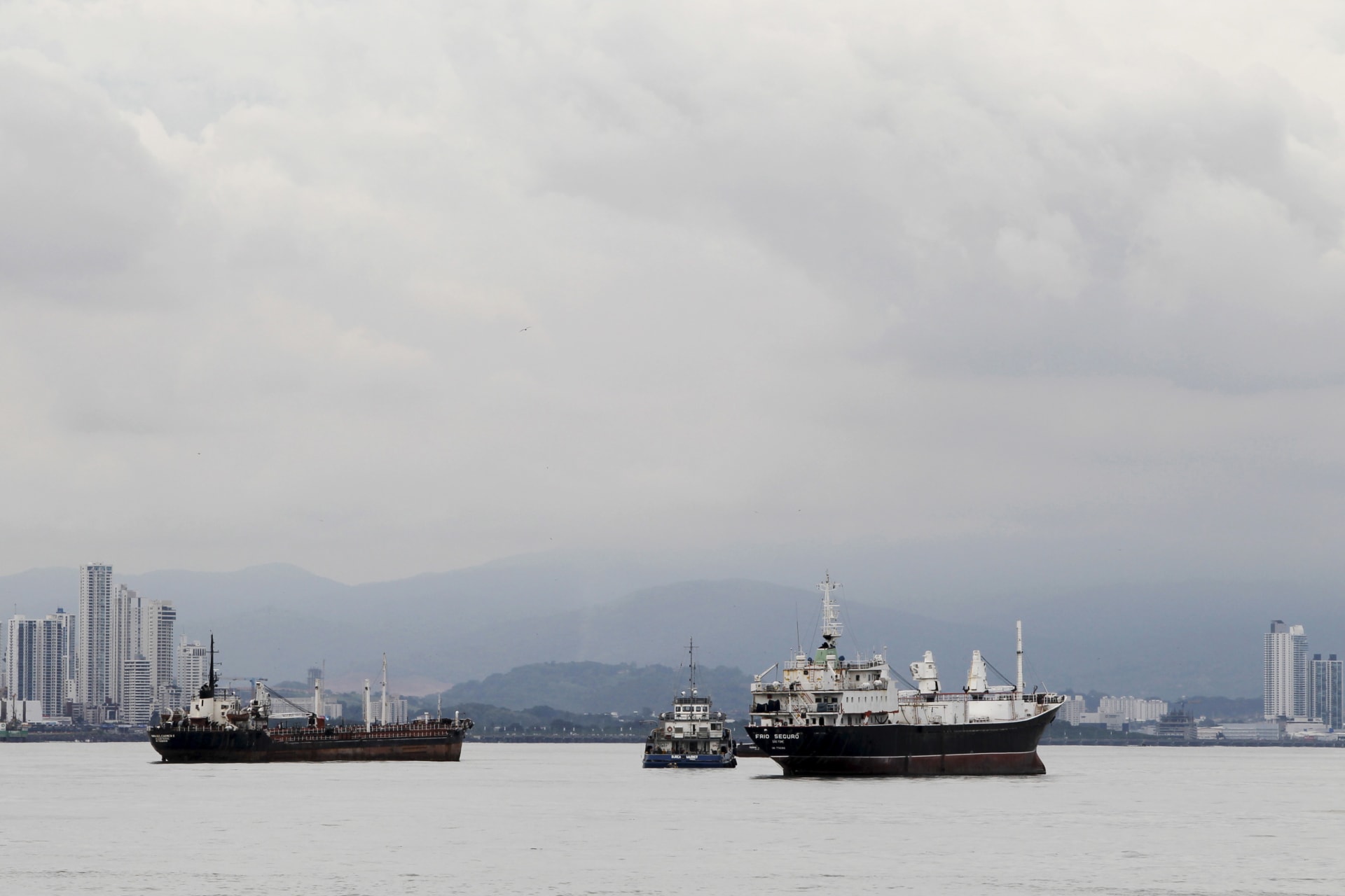 <p>Cargo ships are seen as they wait to navigate through the Panama Canal on the pacific side of Panama City on August 10, 2015.</p>