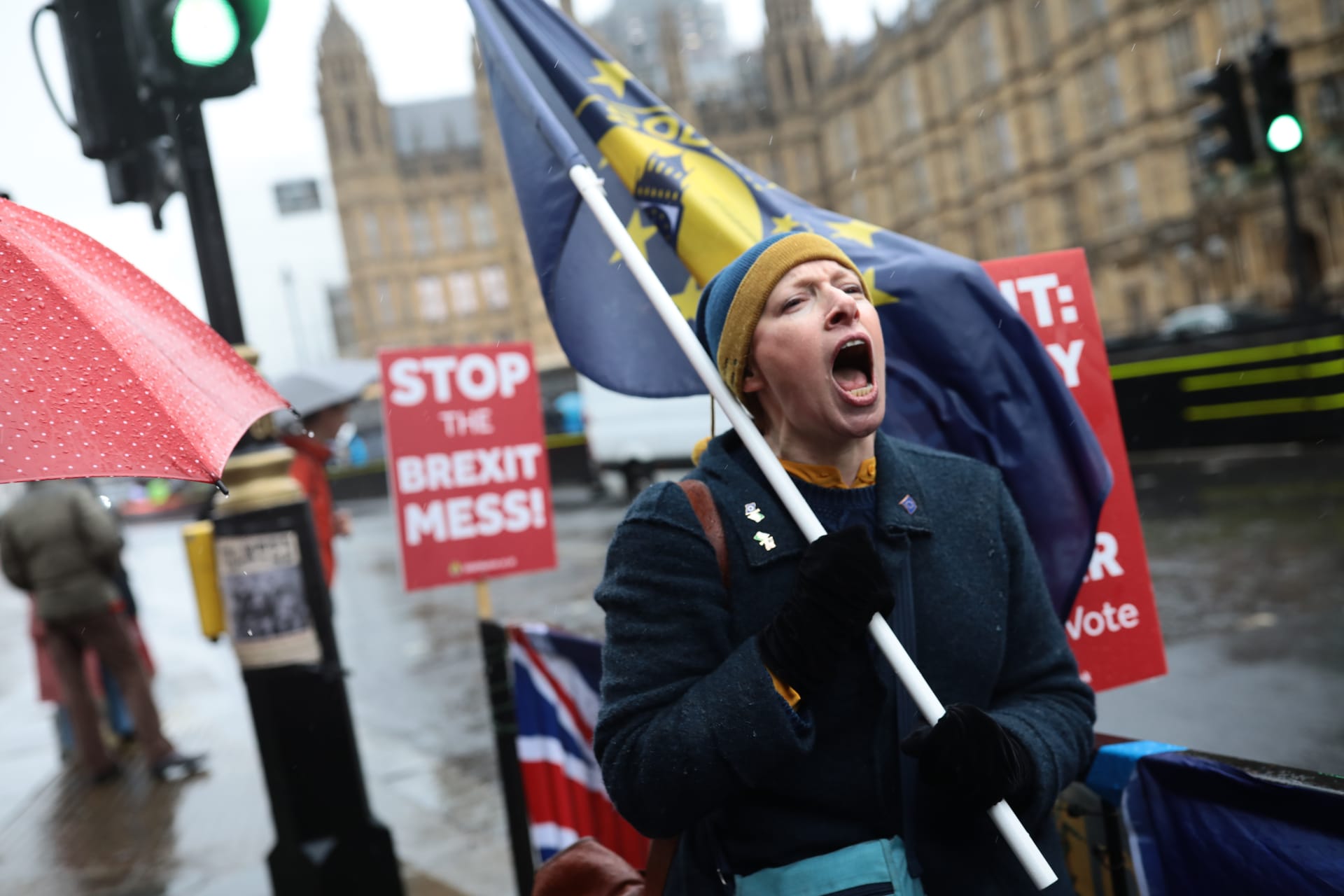 <p>Anti-Brexit demonstrators protest in London.</p>