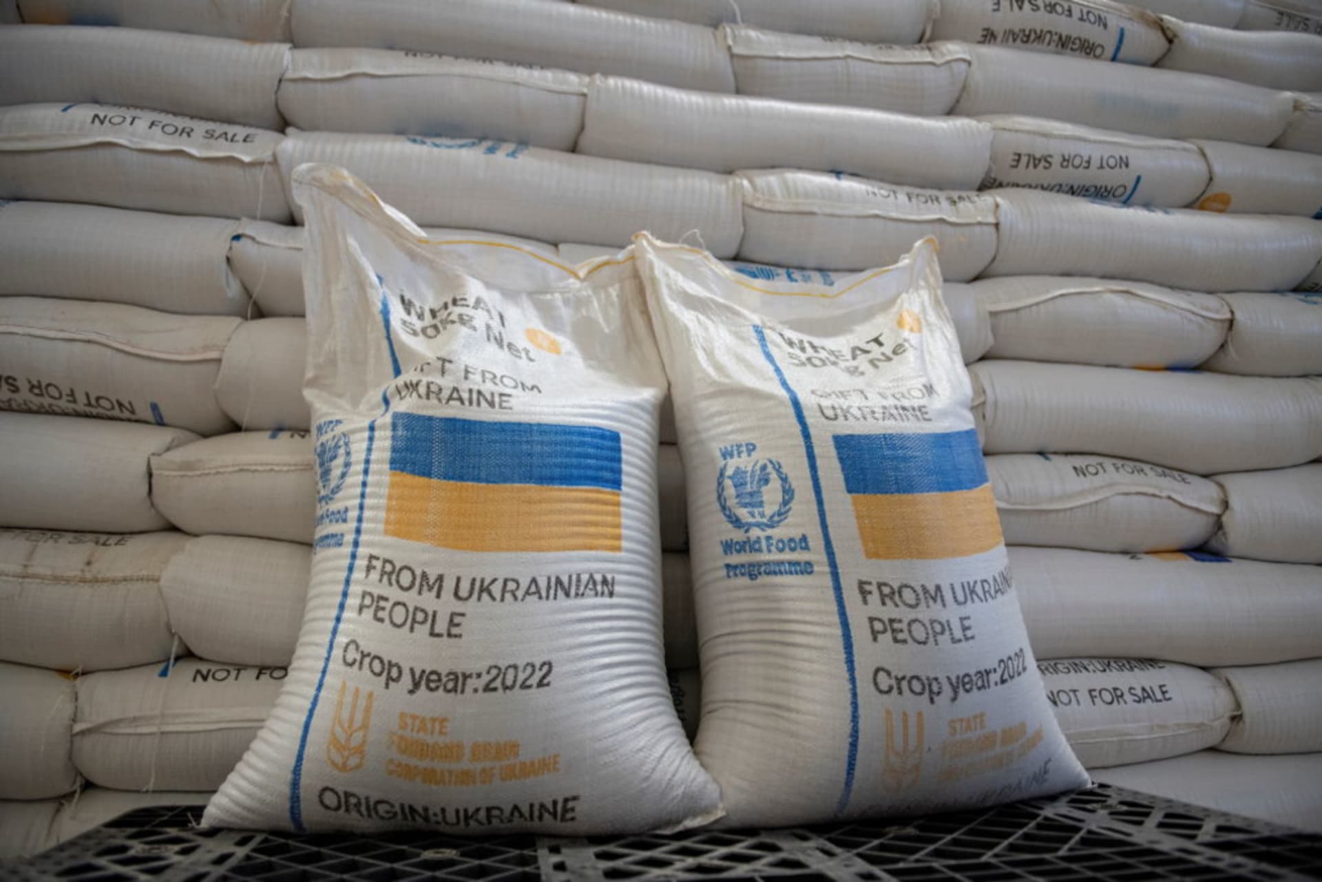 Global Food Insecurity, With Caitlin Welsh pic