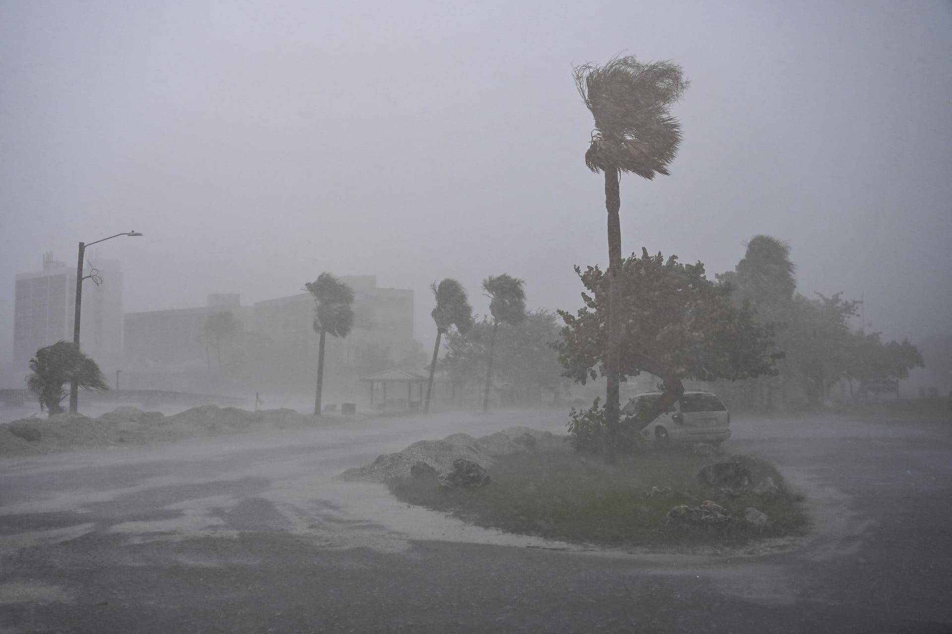 <p>Heavy winds and rain are seen blowing over trees on the side of the road in Florida as Hurricane Milton approaches.</p>
