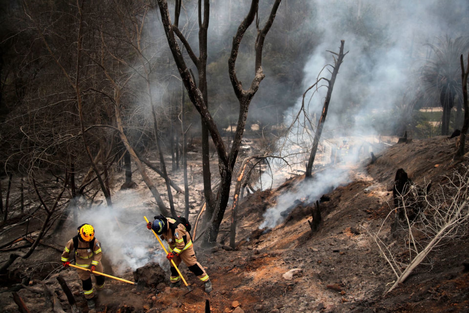 Chile’s Inferno, NATO Ramps Up Security Exercises, Indonesia’s Presidential Election, and More pic