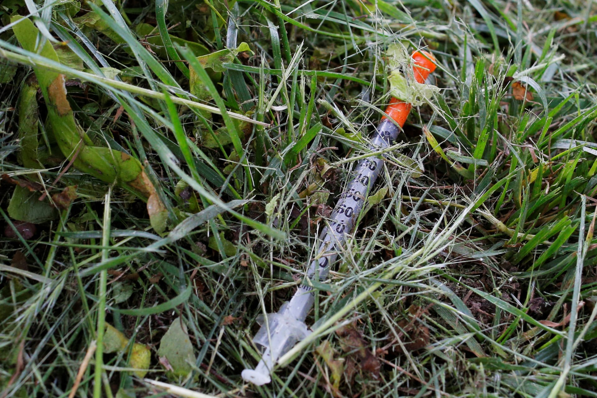 The Fentanyl Epidemic, With Vanda Felbab-Brown pic