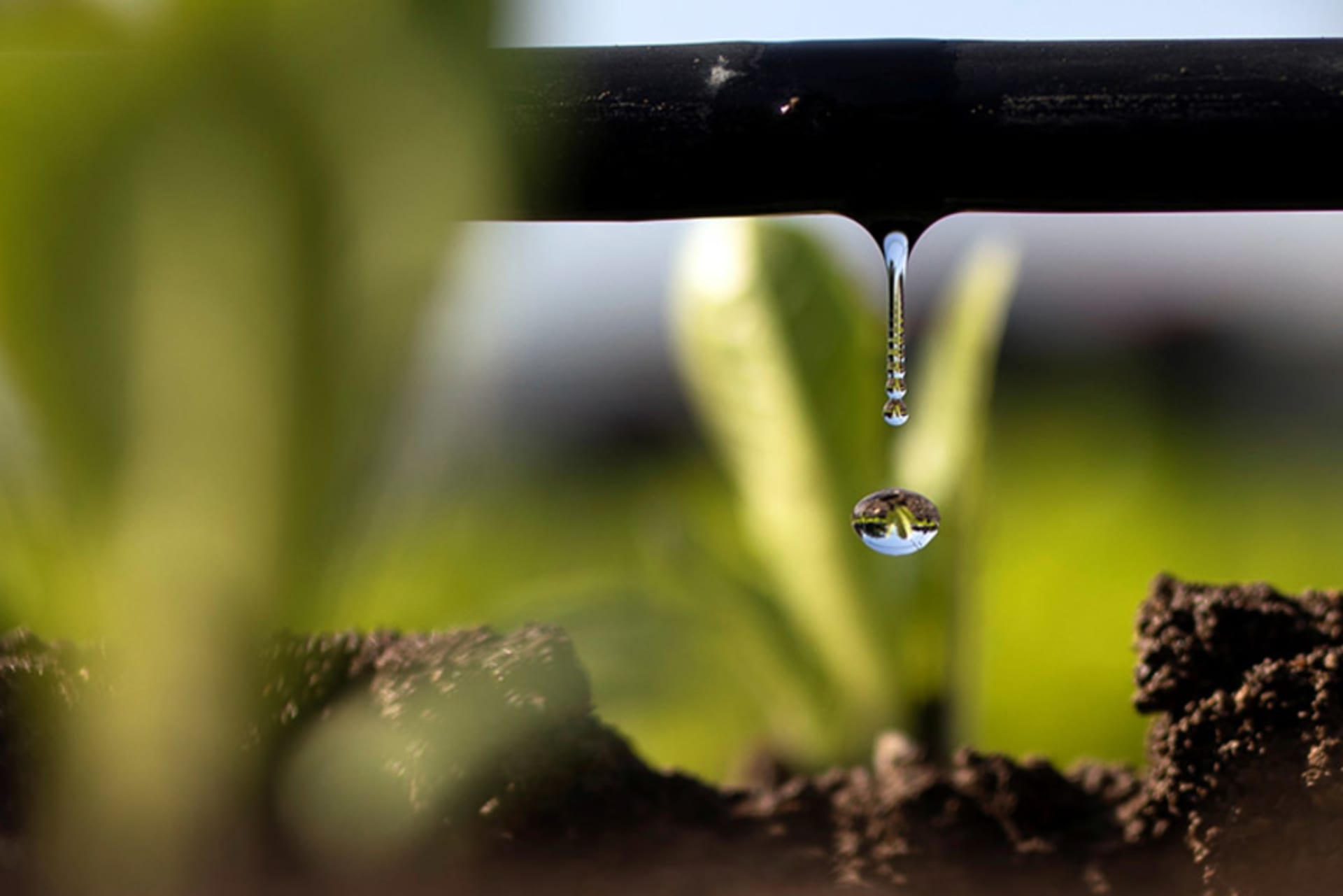 Water Scarcity
