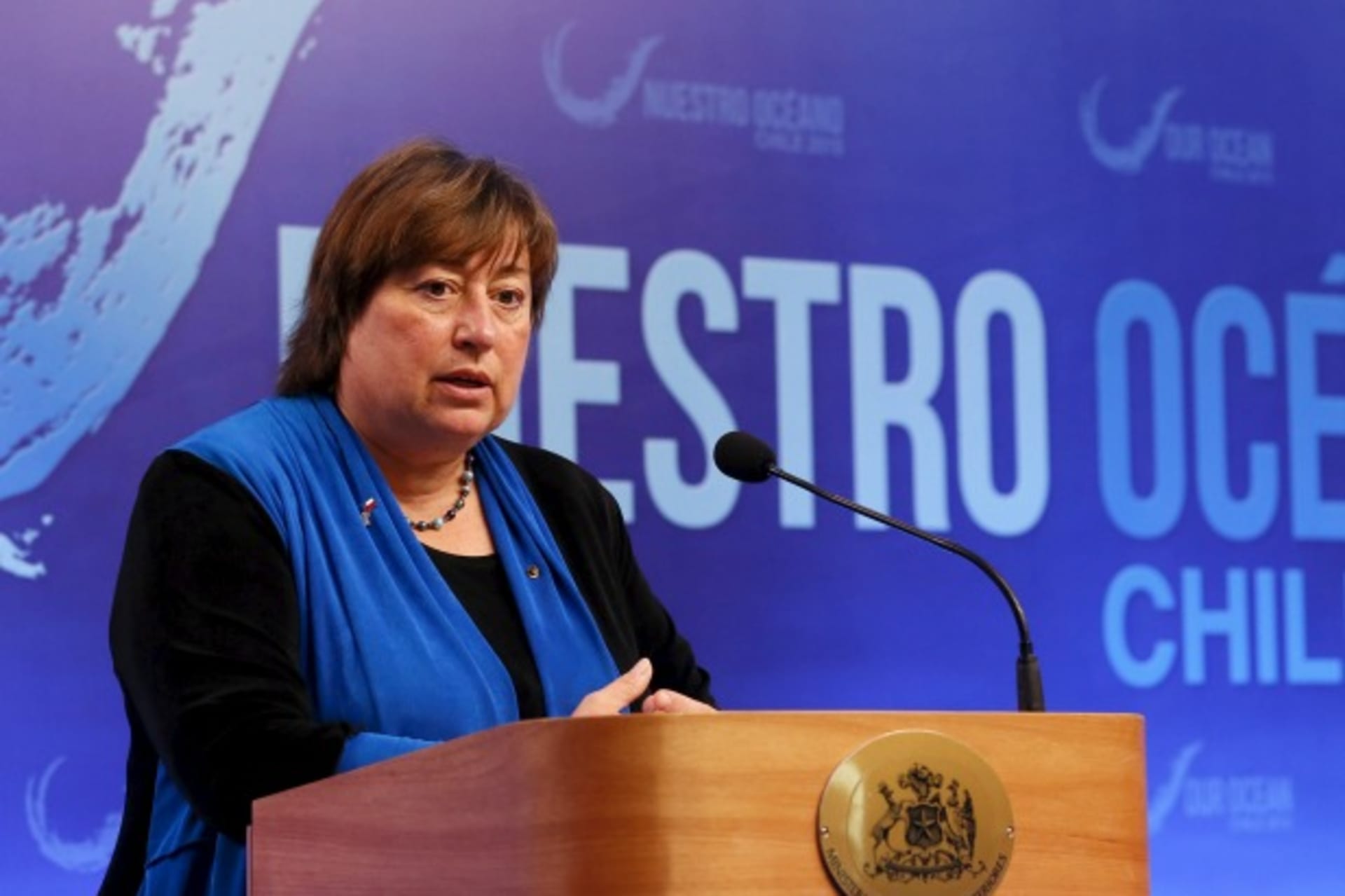 <p>U.S. Undersecretary of State for Economic Growth, Energy and the Environment Cathy Novelli speaks with the media during the “Our Ocean” conference in Vina del Mar city, October 5, 2015. </p>

