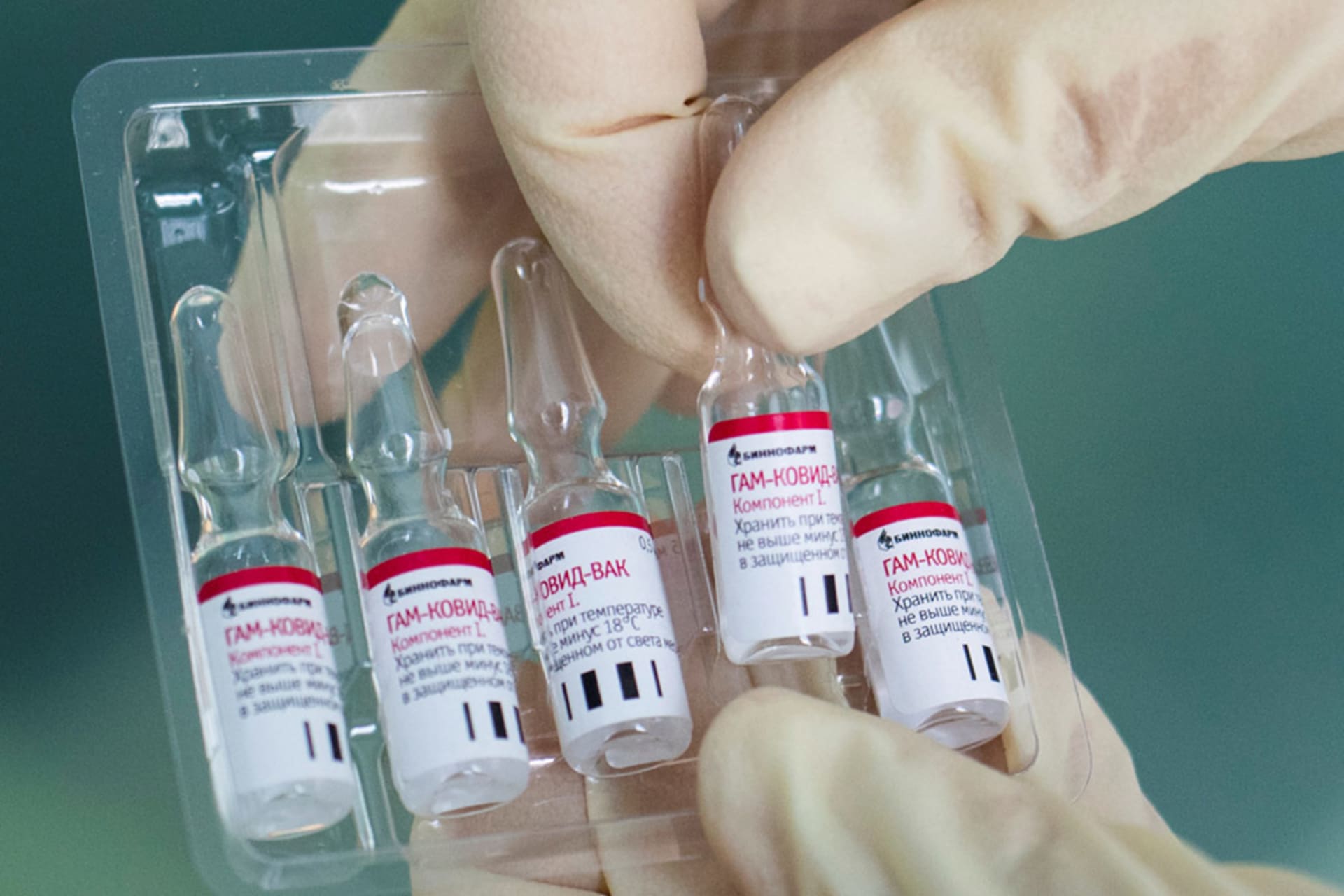 The Path to a COVID-19 Vaccine