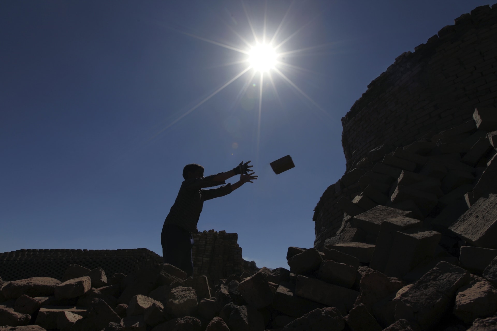 <p>A boy takes dried mud blocks to a kiln where they are fired at a traditional brick manufacturing site in Sanaa, November 20, 2012. </p>
