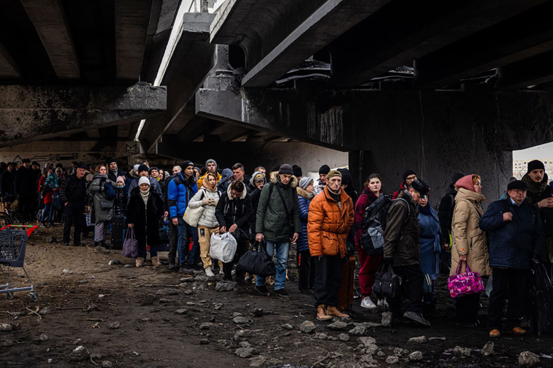 Where Are Ukrainian Refugees Going?