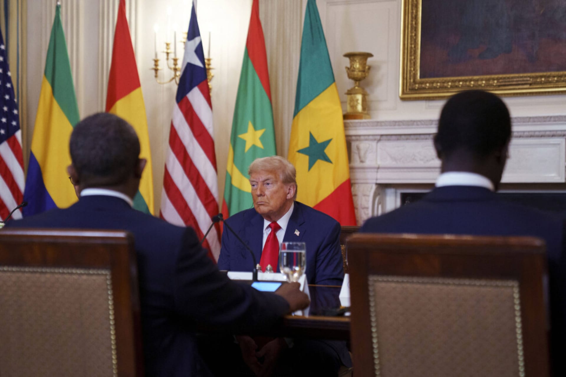 <p>U.S. President Donald Trump at a meeting with several African heads of state at the White House in July last year.</p>
