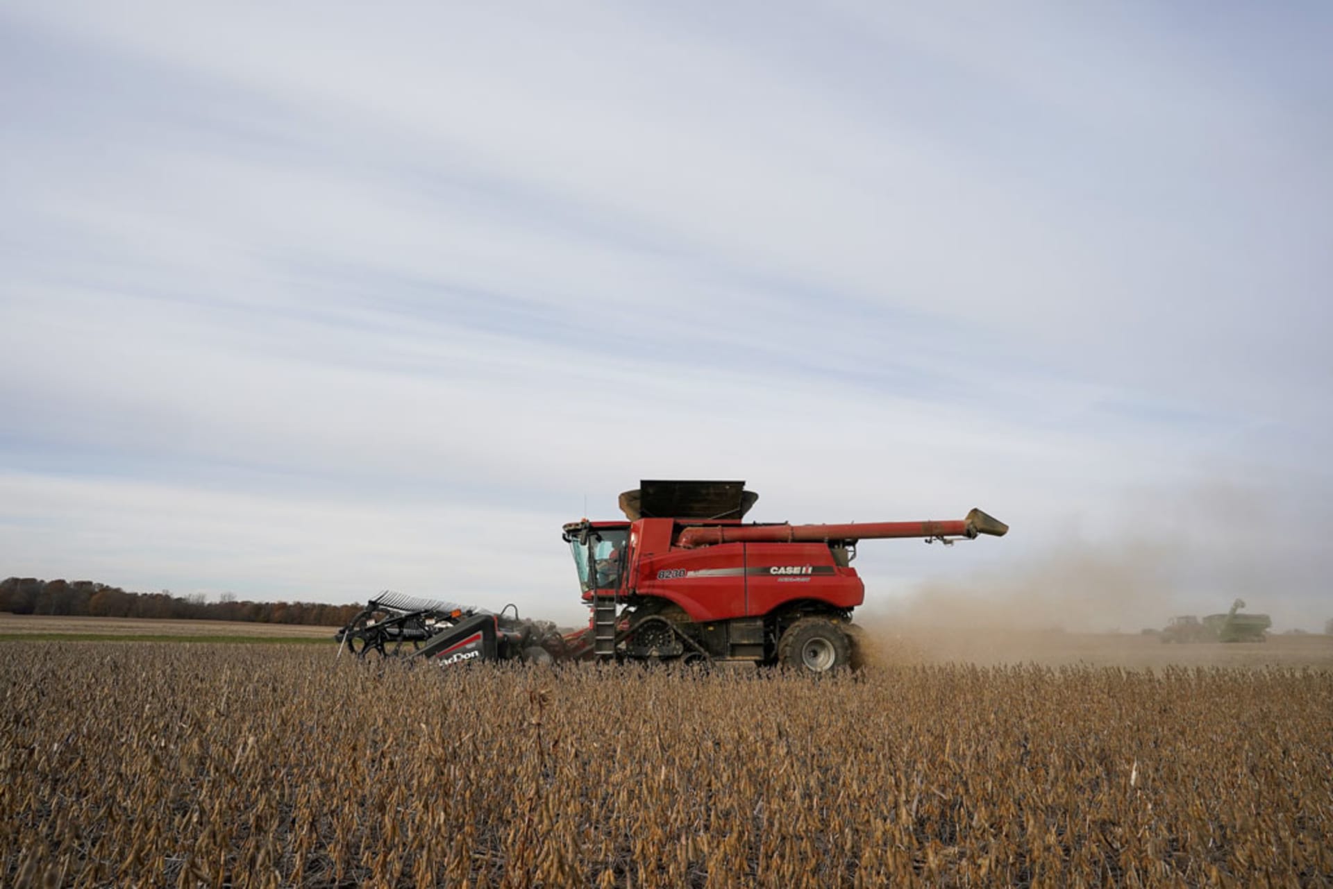 SoybeanFarm