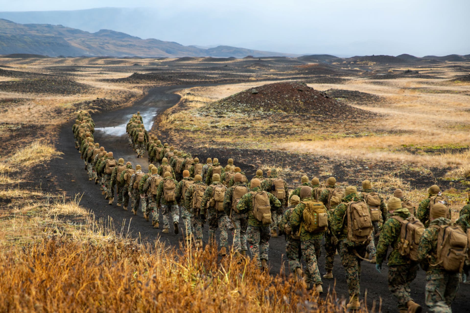 Securing the Future: Navigating the Nexus of Climate and Defense