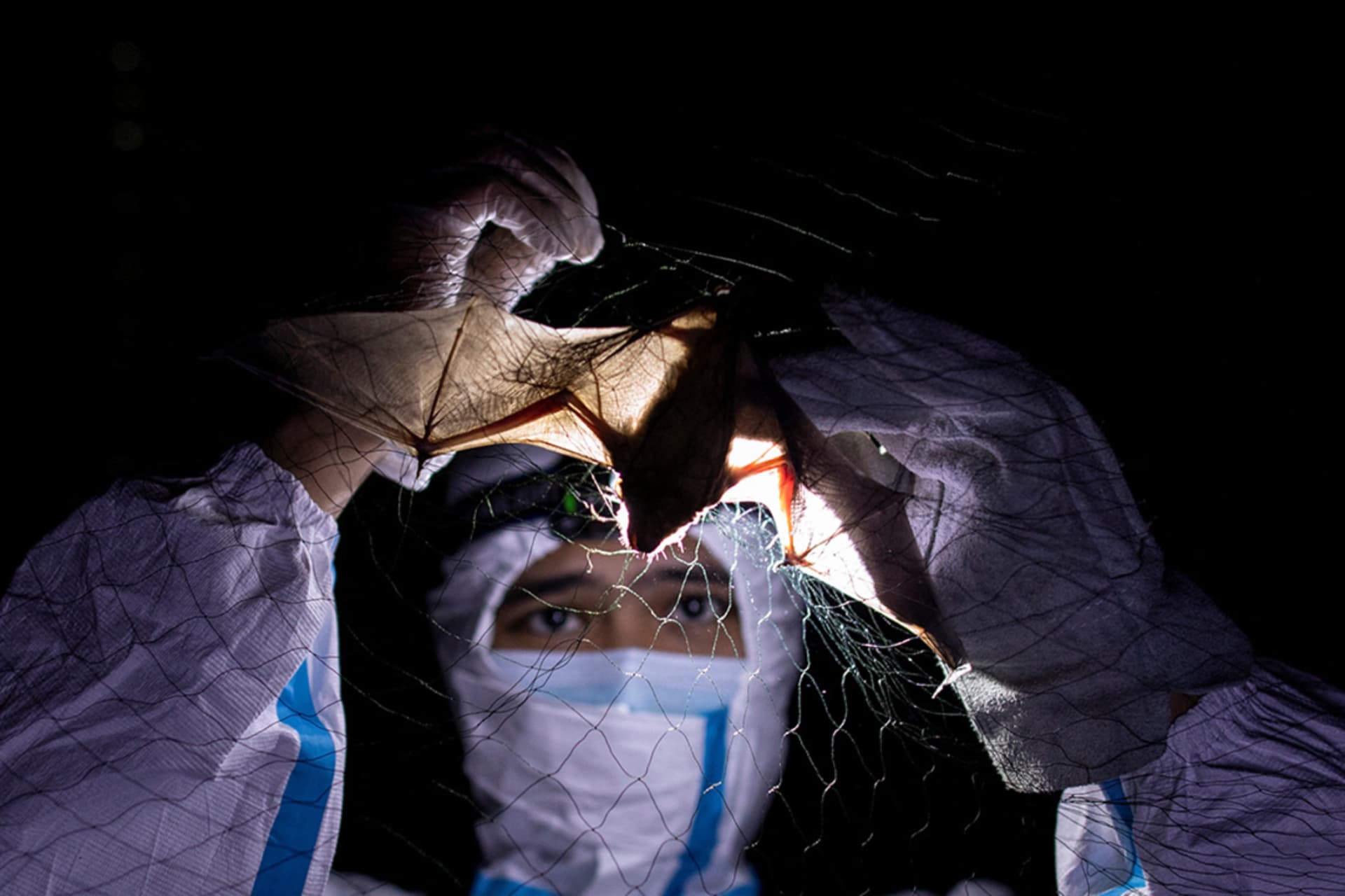 The Pandemic Agreement and IHR Amendments After the World Health Assembly