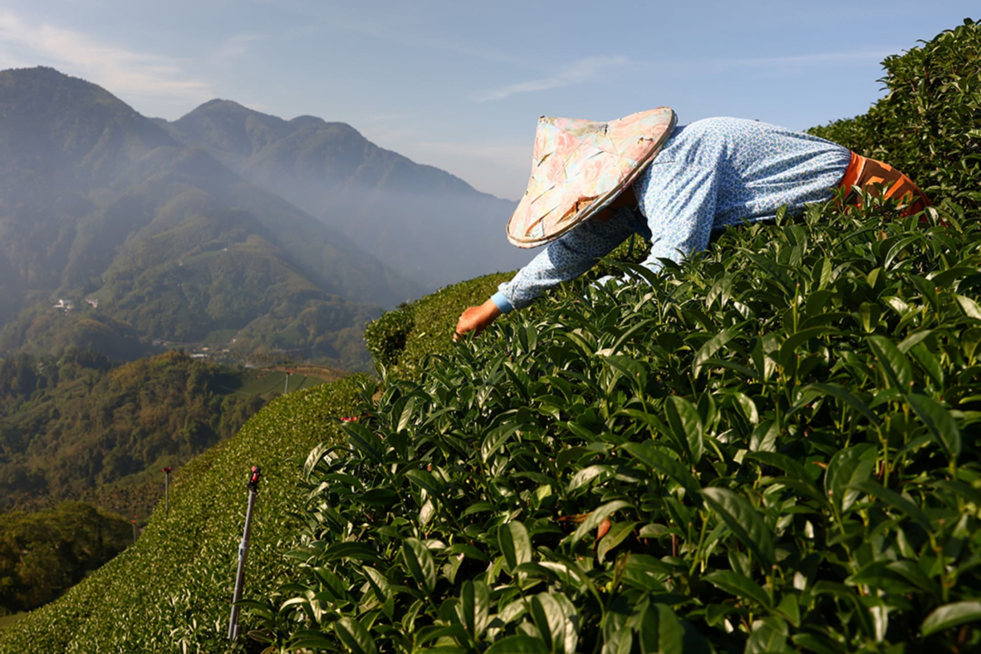 Accelerating Solutions at the Intersection of Climate Change and Food Security