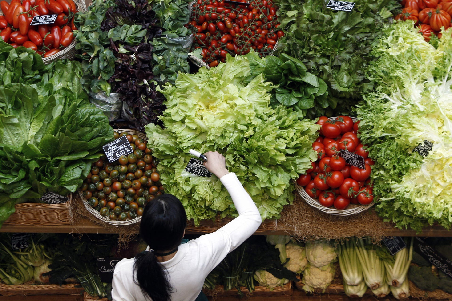 Dinner of Extinction—A Taste of Climate Action