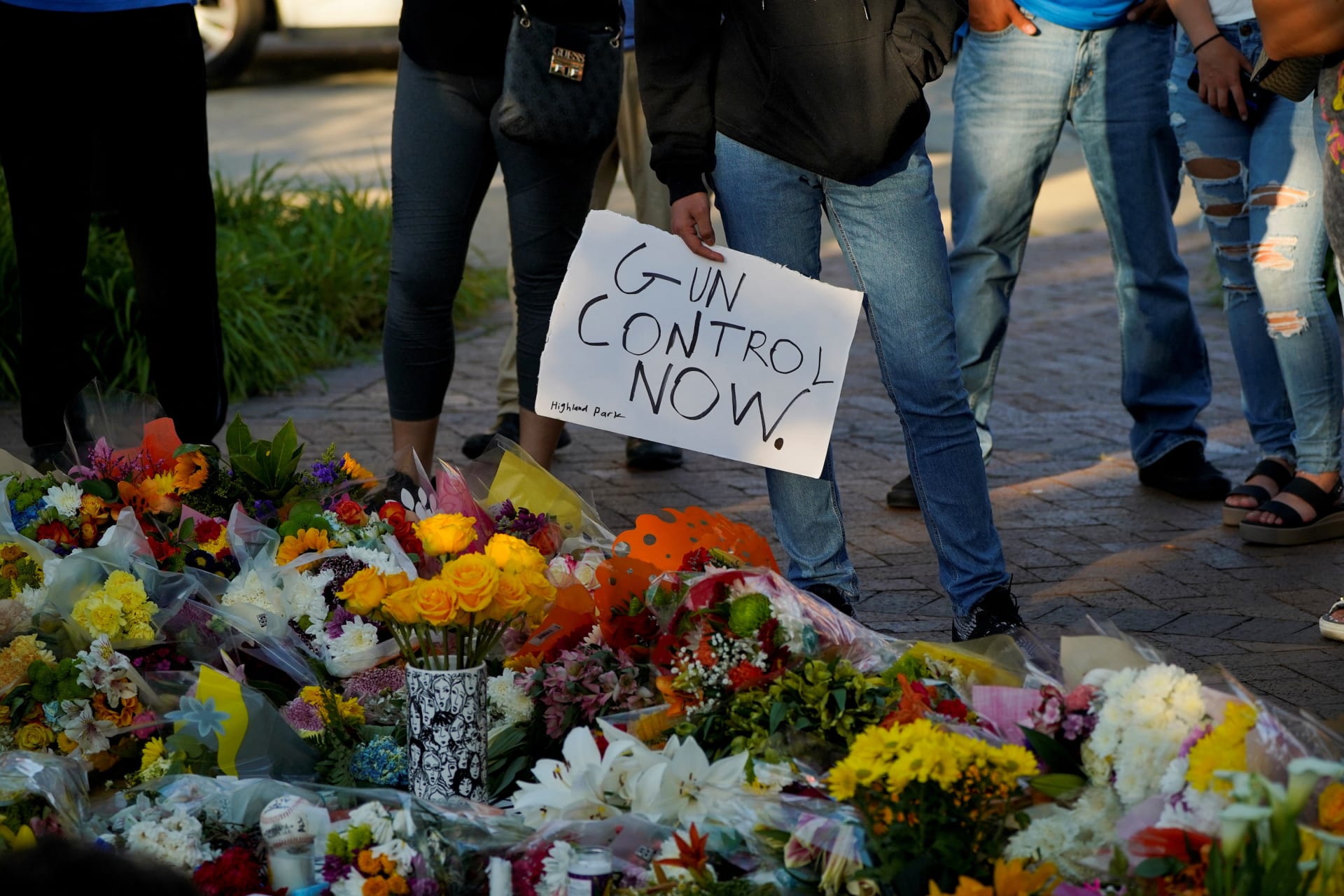 Addressing Gun Violence at Home and Abroad