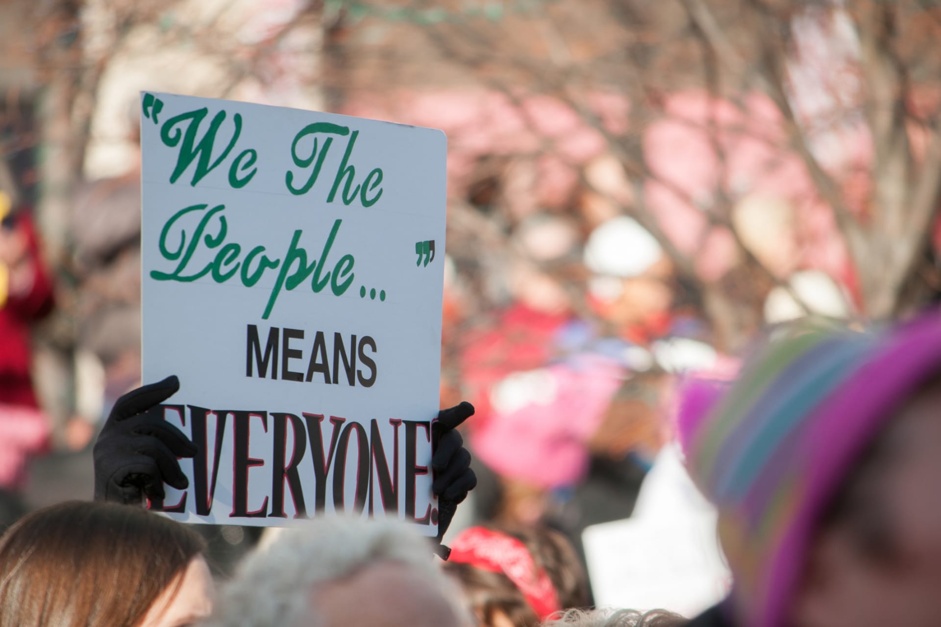 Renewing America Series: The History of American Democracy Image