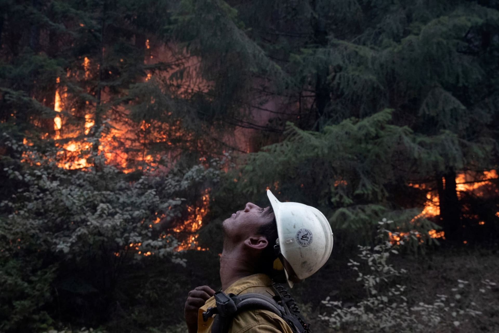 Environmental Risk Management and Climate Change