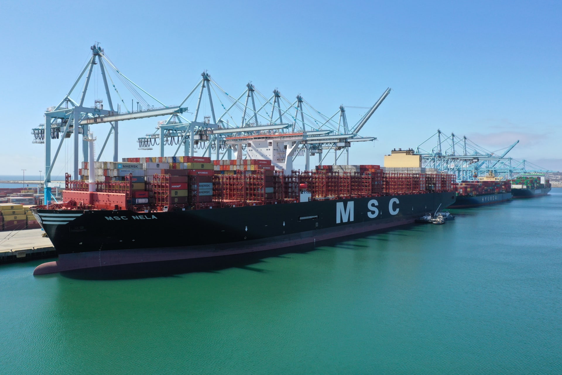 Supply Chains