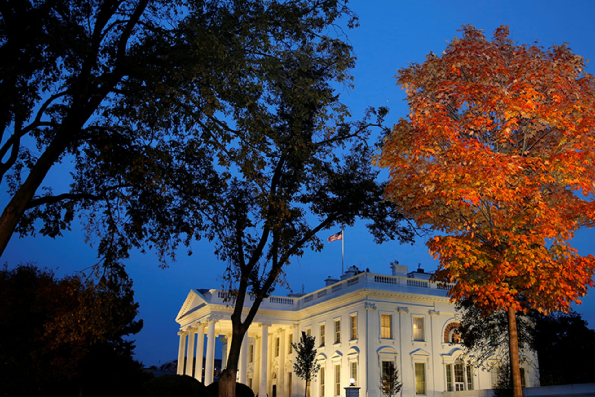 The White House
