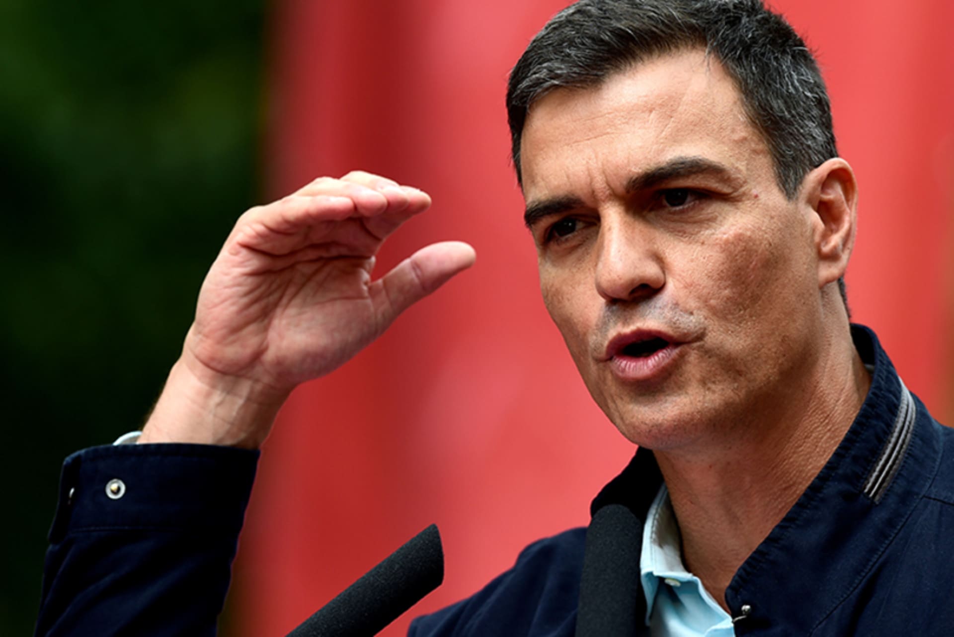 Pedro Sánchez