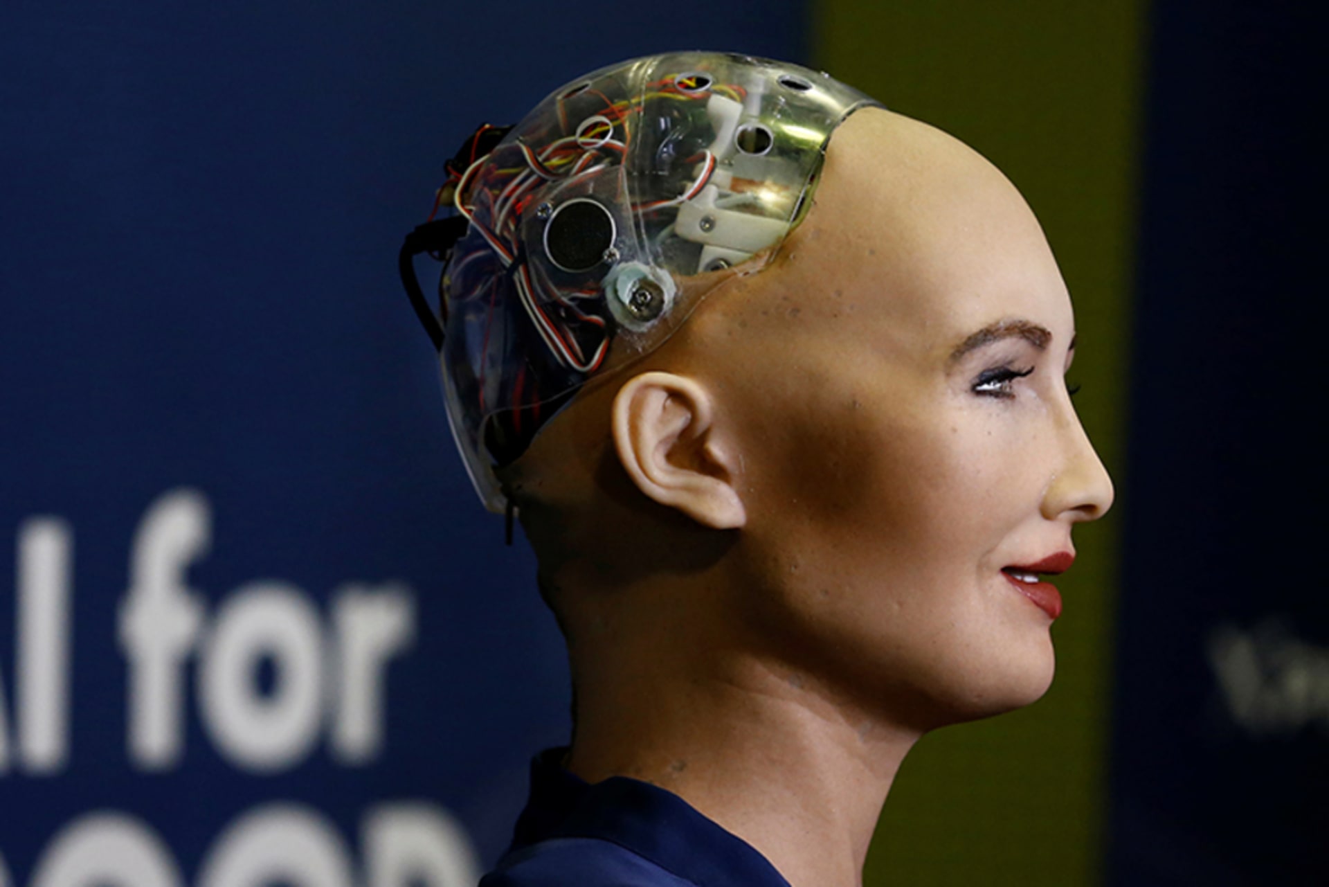 The Artificial Intelligence Race and the New World Order