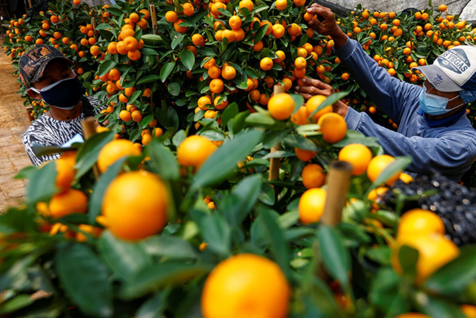 Eliminating Human Trafficking: The Role of the Private Sector