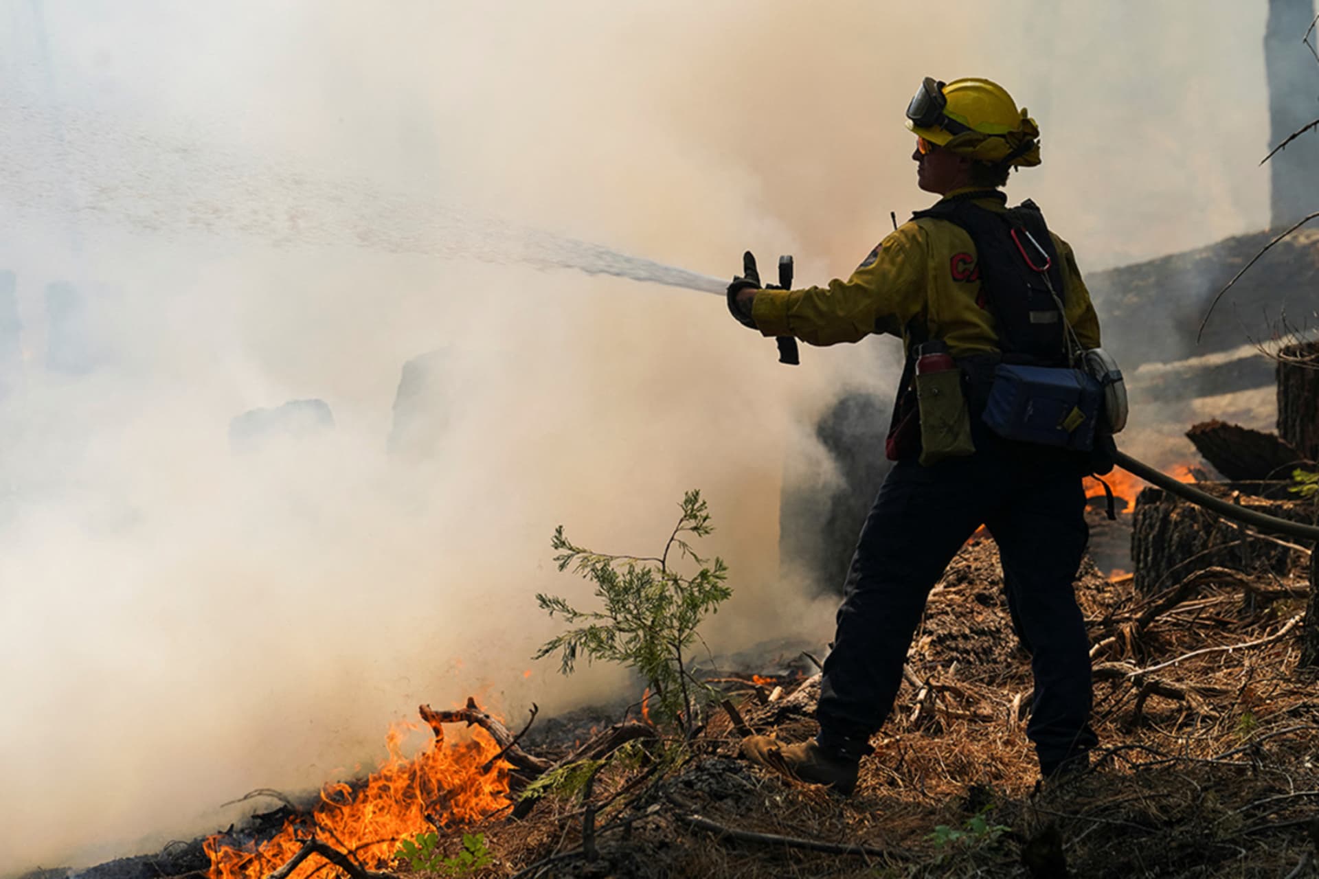 Term Member Virtual Meeting: Recover, Rebuild, Resilience: California’s Post-Wildfire Future