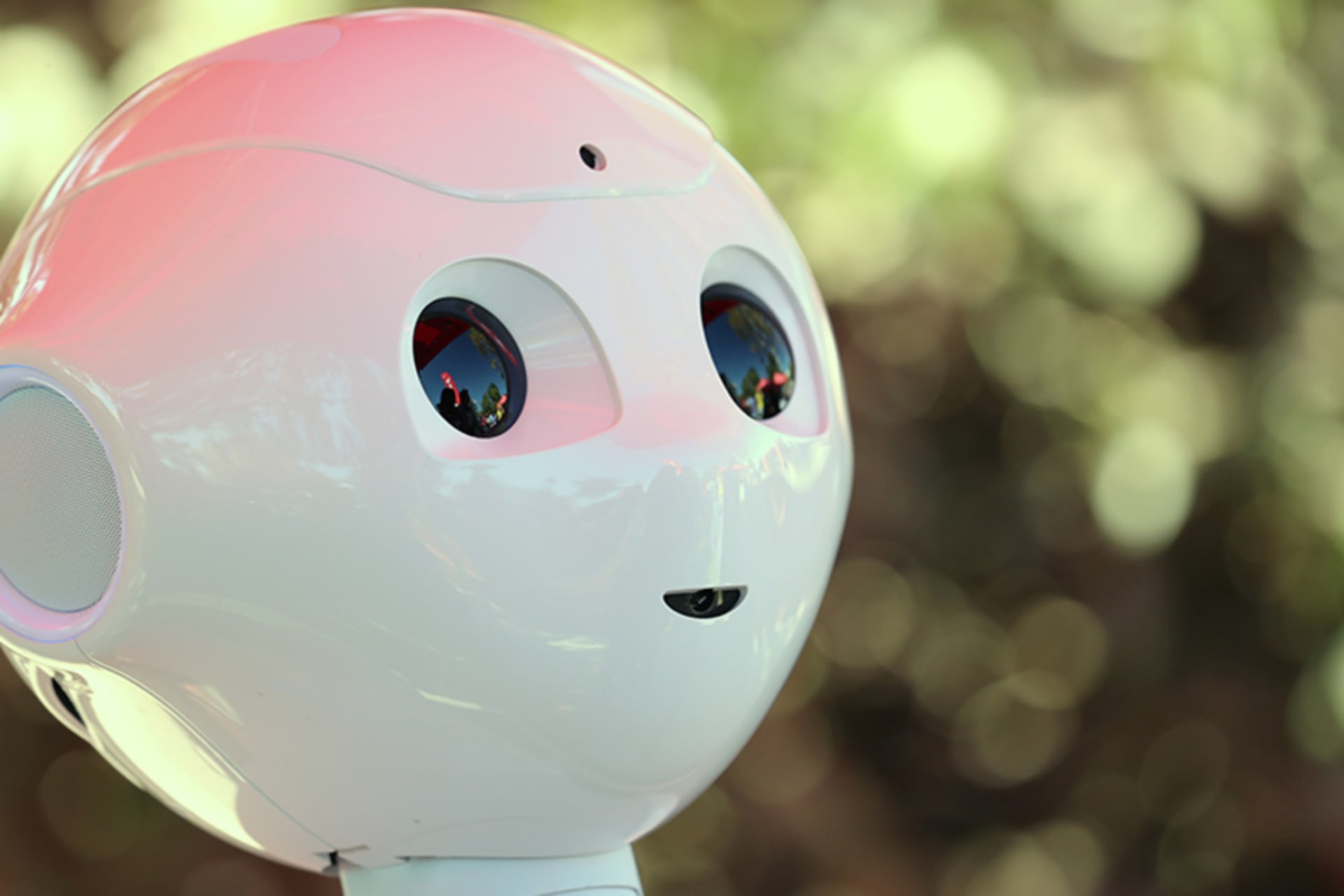 AI