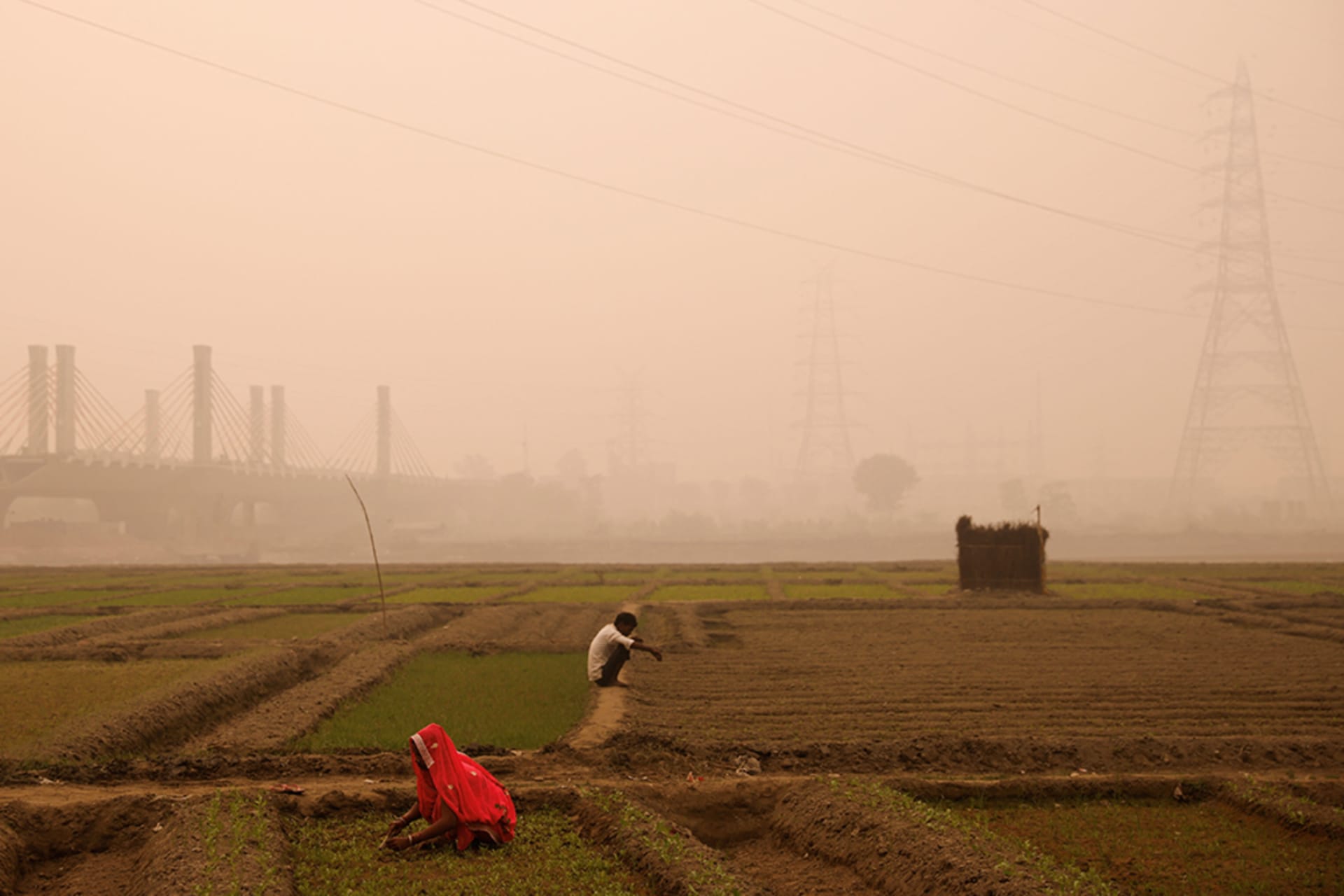 Virtual Roundtable: Clearing the Air on Air Pollution