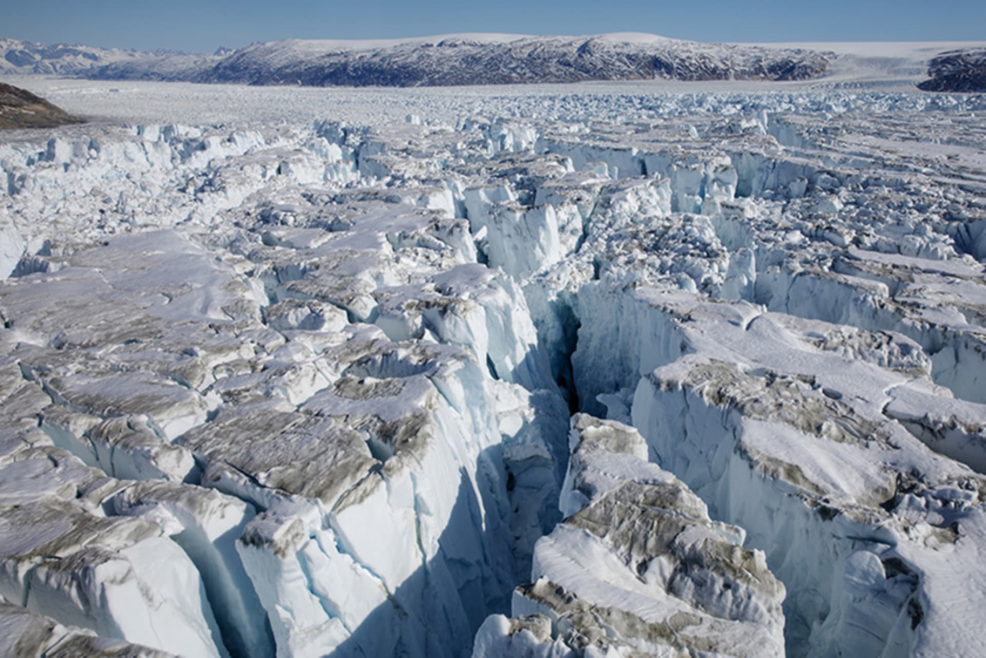 Young Professionals Briefing: Adapting to Climate Change