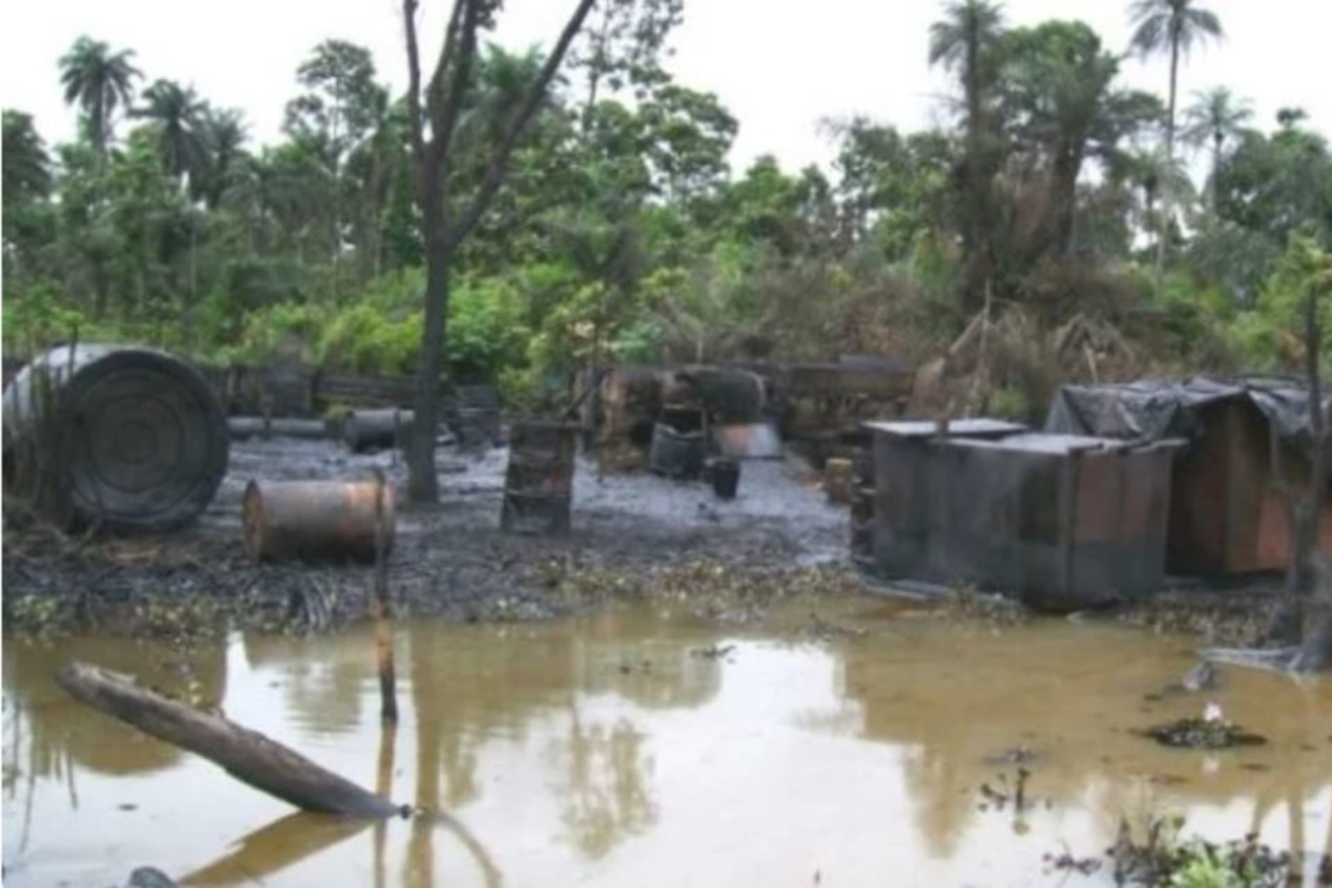 niger-delta