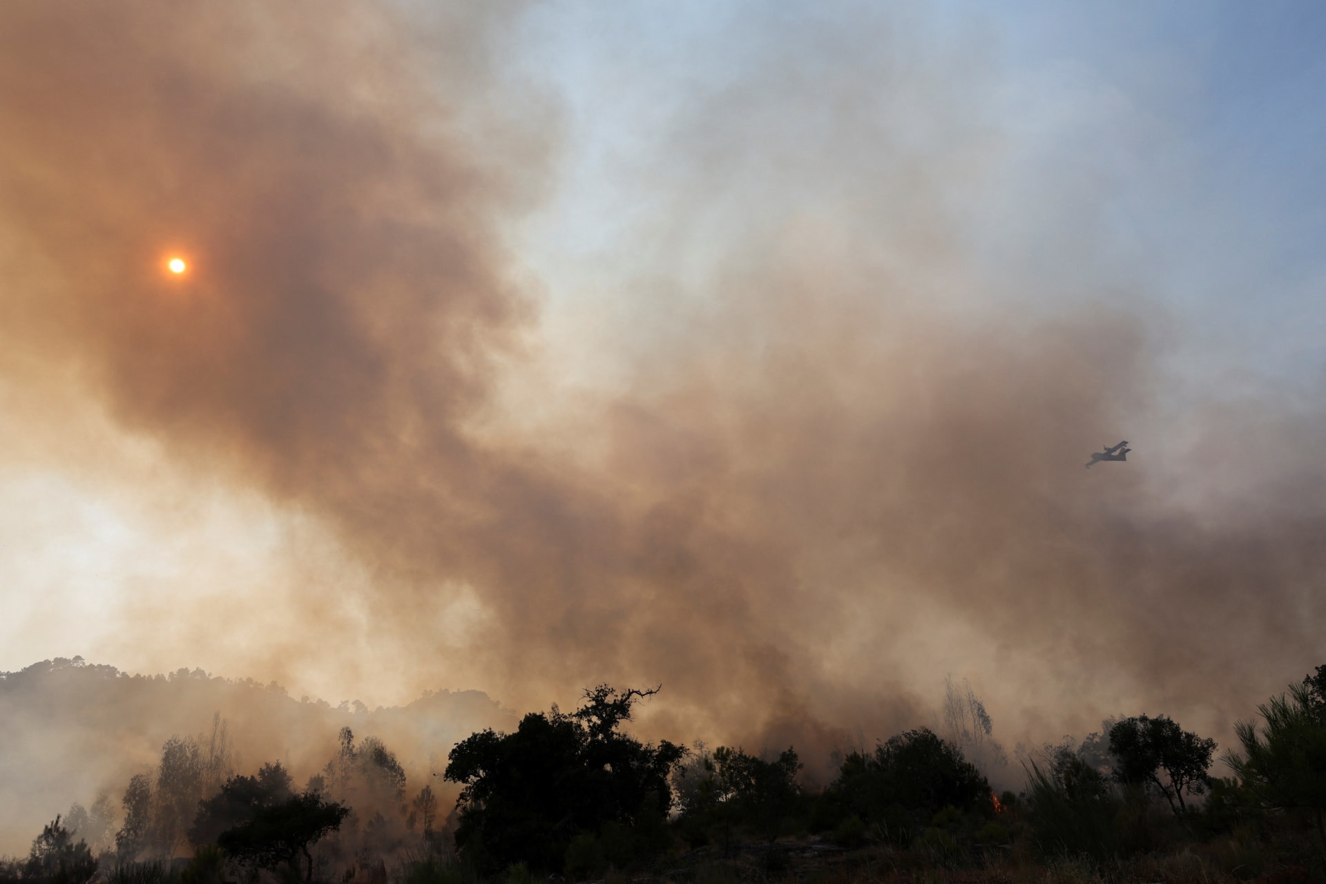 Wildfire in Castelo Novo