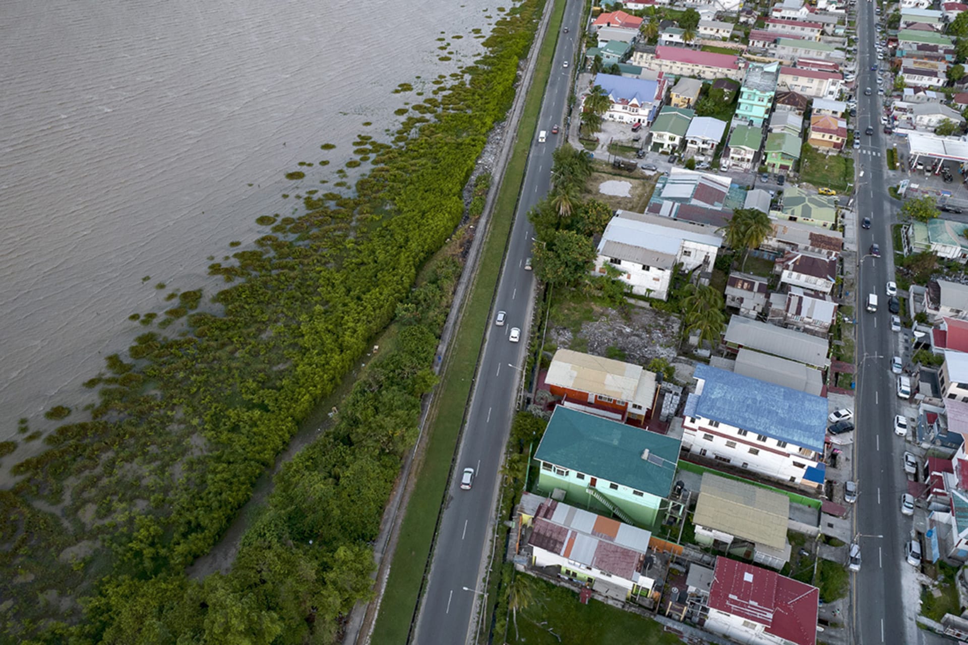 <p>A view of mangroves next to the seawall in Georgetown, Guyana, April 19, 2023.</p>
