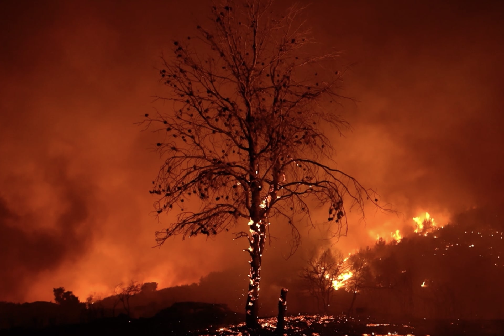 <p><span class="large-caption">ATHENS, GREECE: A wildfire outbreak in August 2024 forced thousands of people to flee their homes.</span> <span class="immersive-intro__figcaption-credit">Bloomberg/Getty Images</span></p>
