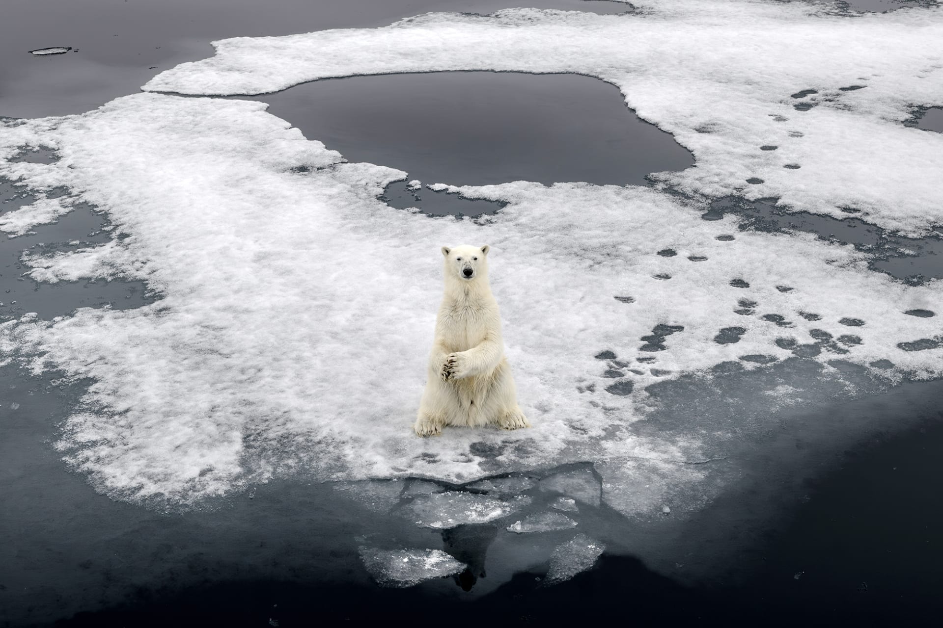<p>SVALBARD, NORWAY: Climate change poses a significant threat to the habitats of Arctic wildlife species including caribou and polar bears. <span class="immersive-image__figcaption-credit">Sebnem Coskun/Anadolu Agency/Getty Images</span></p>
