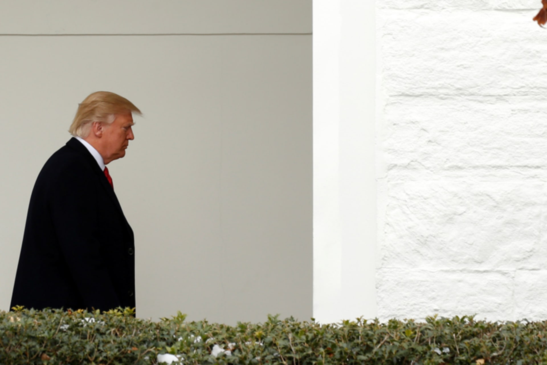 Trump_.jpg